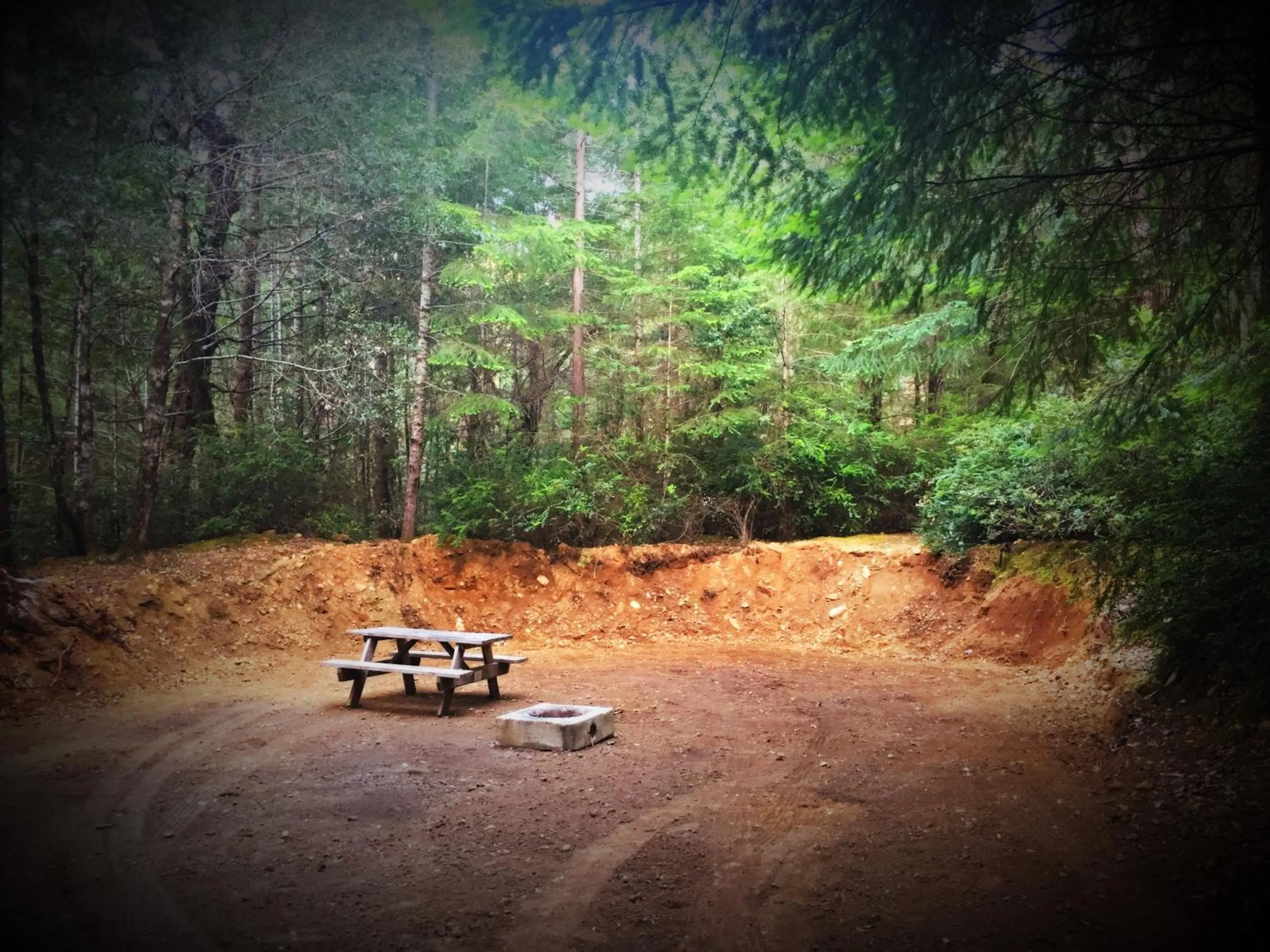 Natural landscape in Redwoods River Resort & Campground