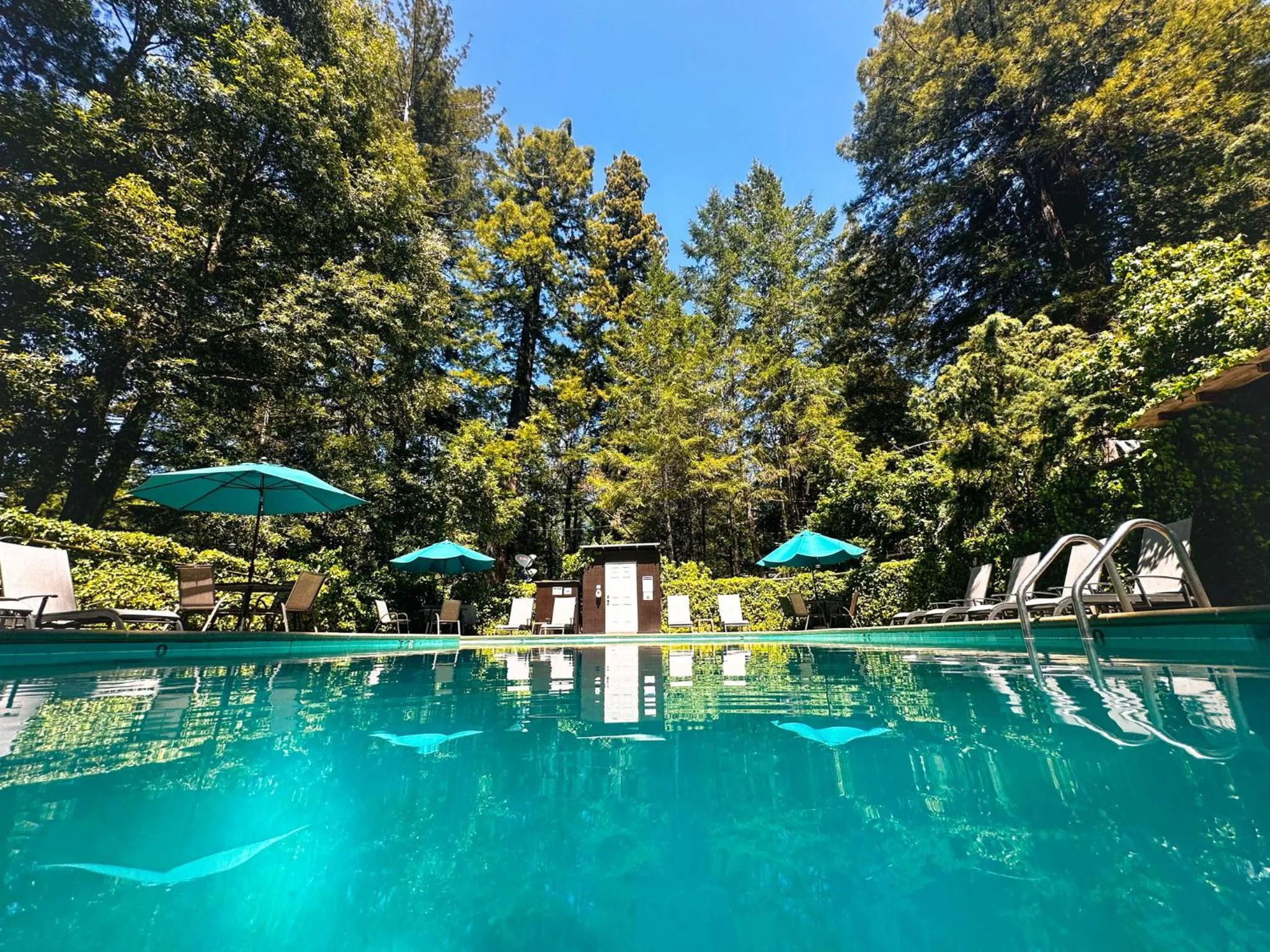 Swimming pool in Redwoods River Resort & Campground