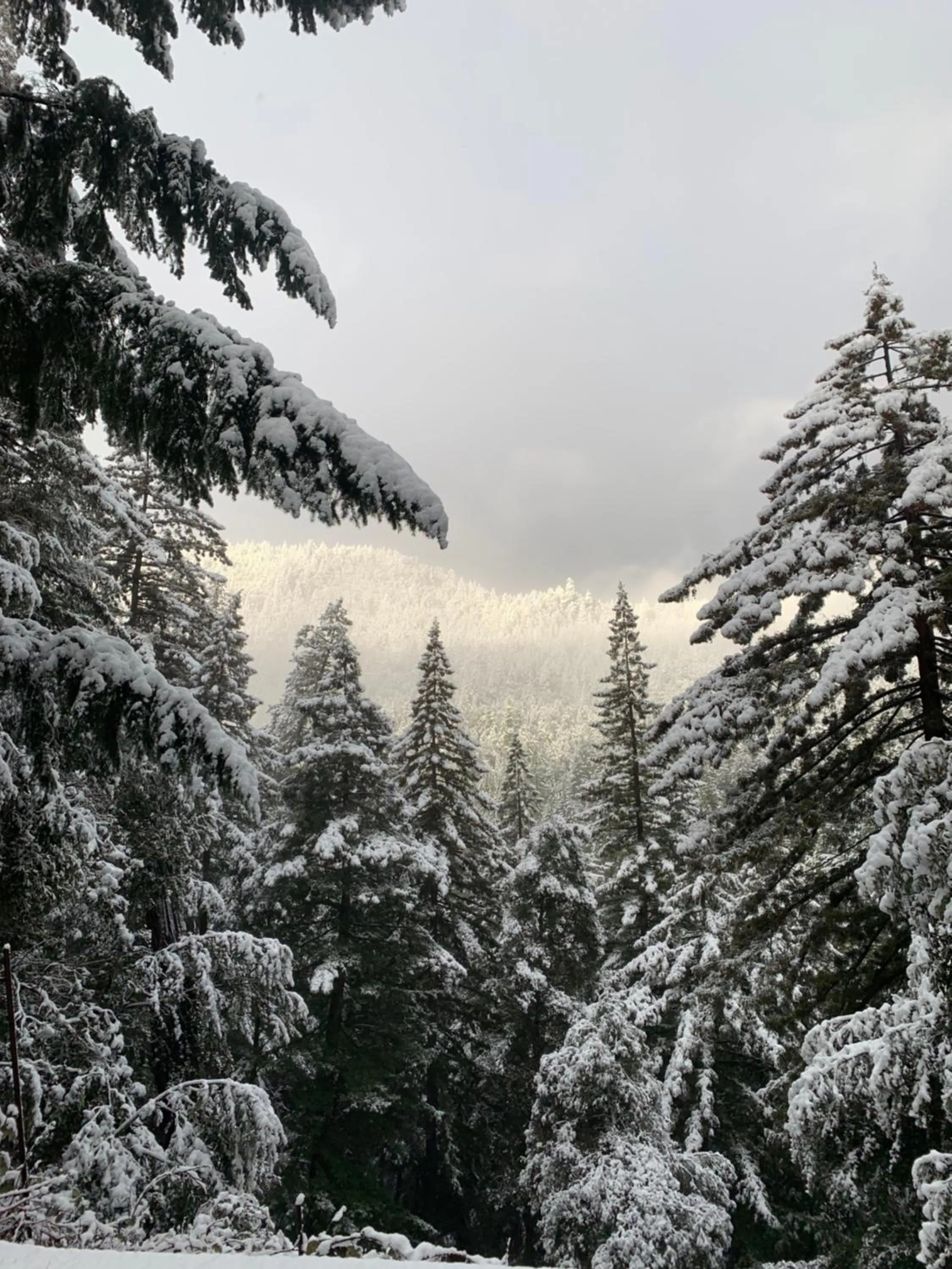 Natural landscape in Redwoods River Resort & Campground
