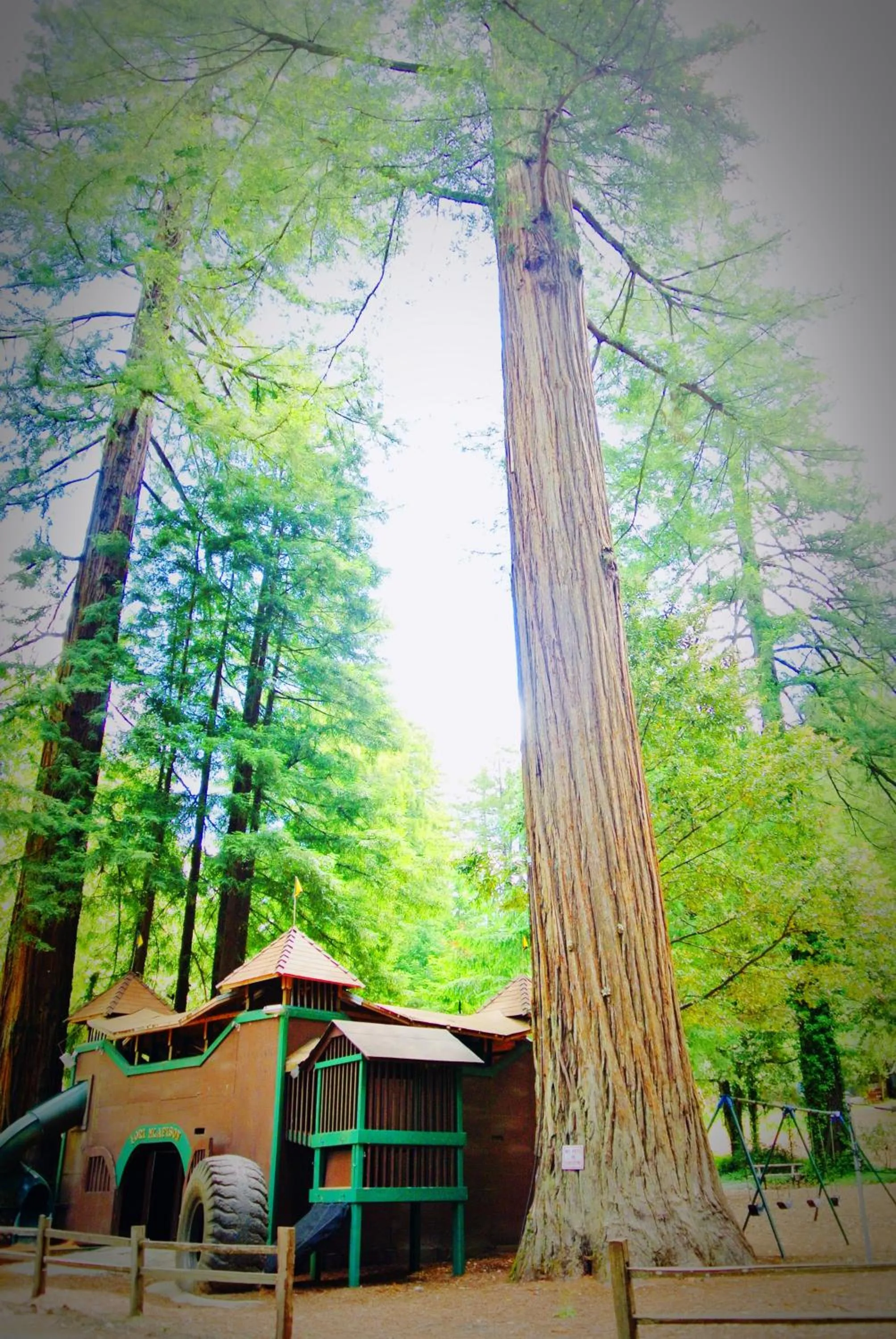 Children play ground in Redwoods River Resort & Campground