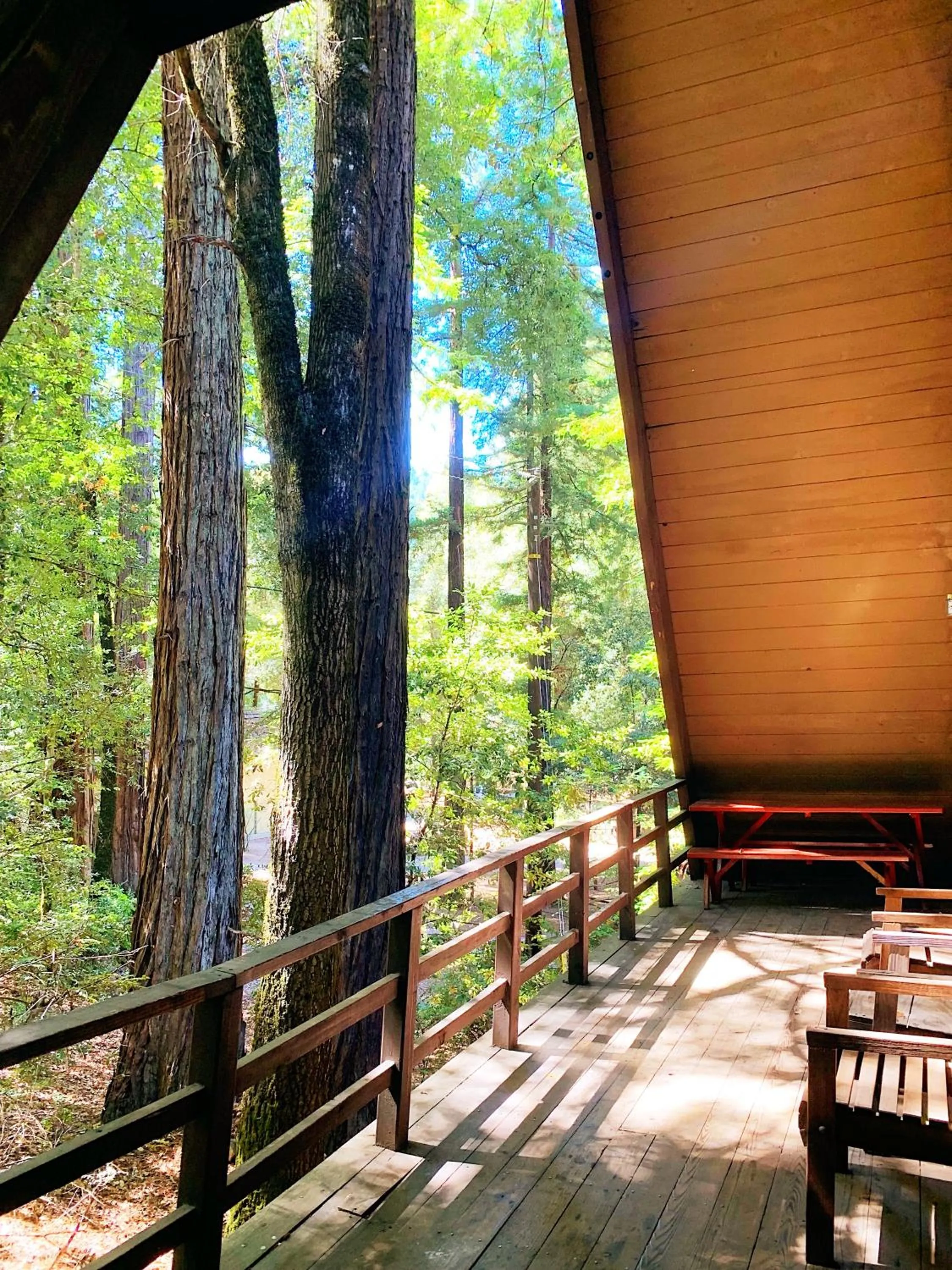 Balcony/Terrace in Redwoods River Resort & Campground