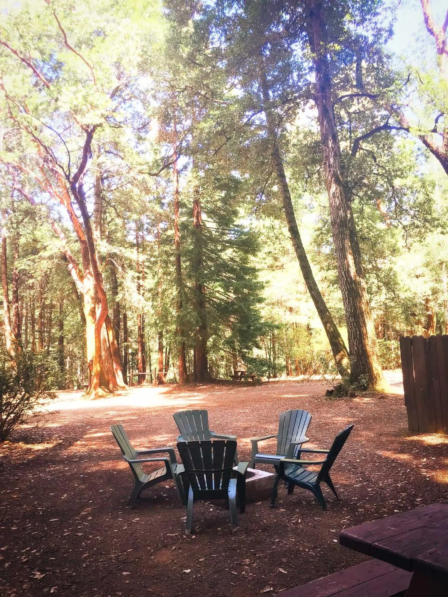 View (from property/room) in Redwoods River Resort & Campground