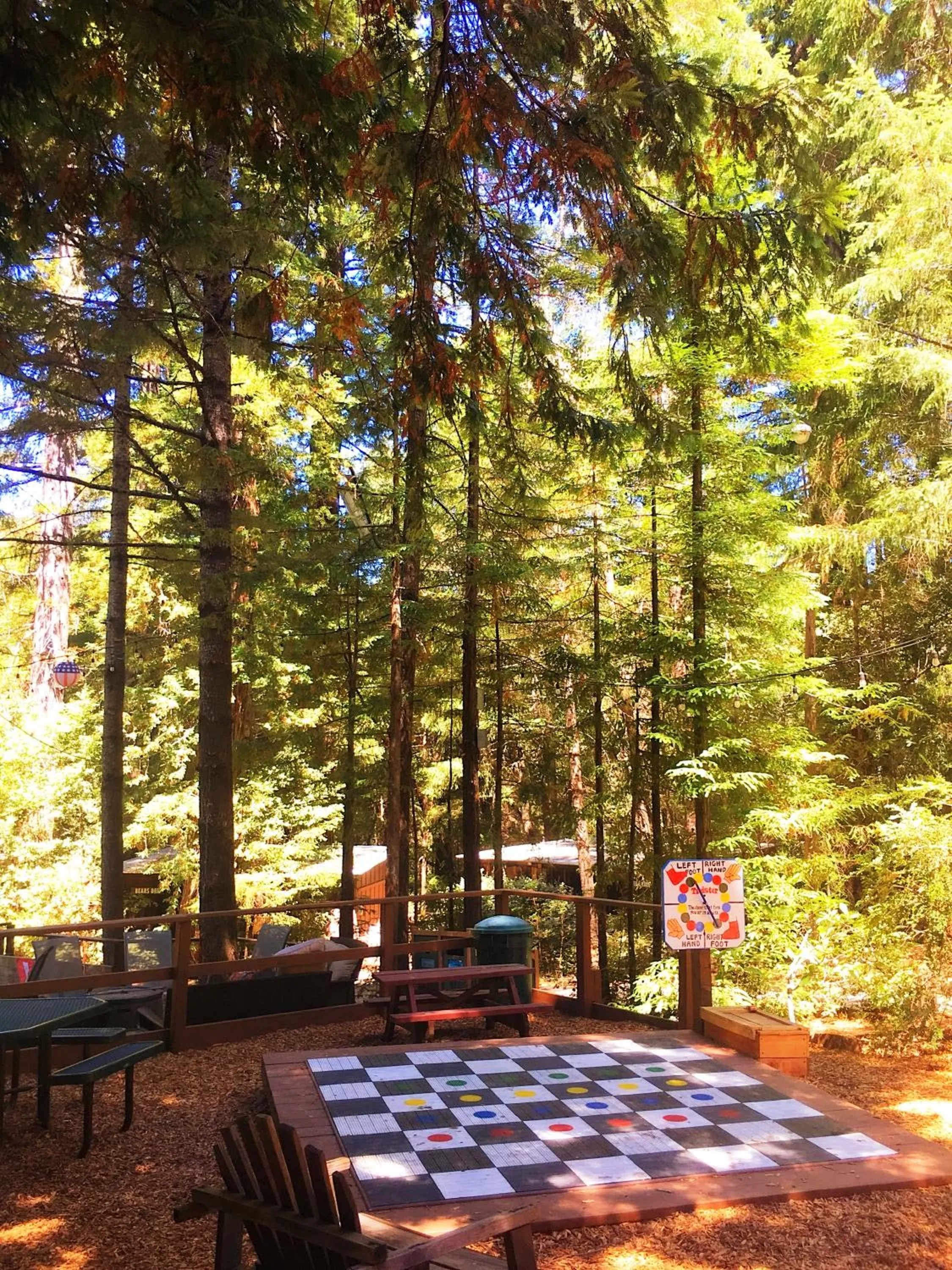 Activities in Redwoods River Resort & Campground