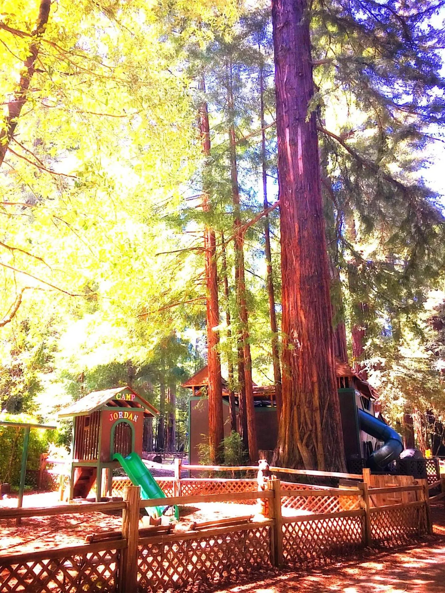 Children play ground in Redwoods River Resort & Campground