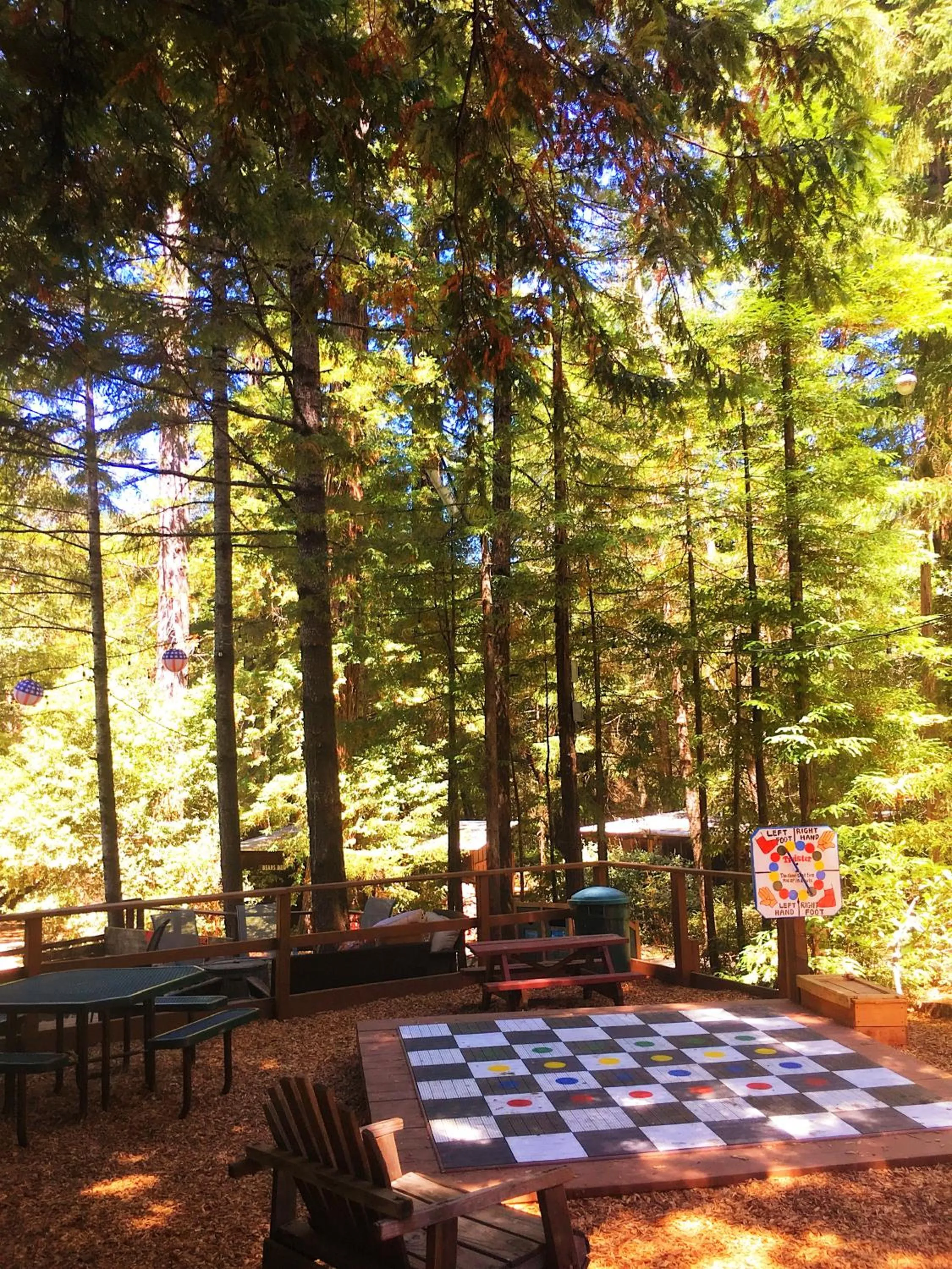 Activities in Redwoods River Resort & Campground