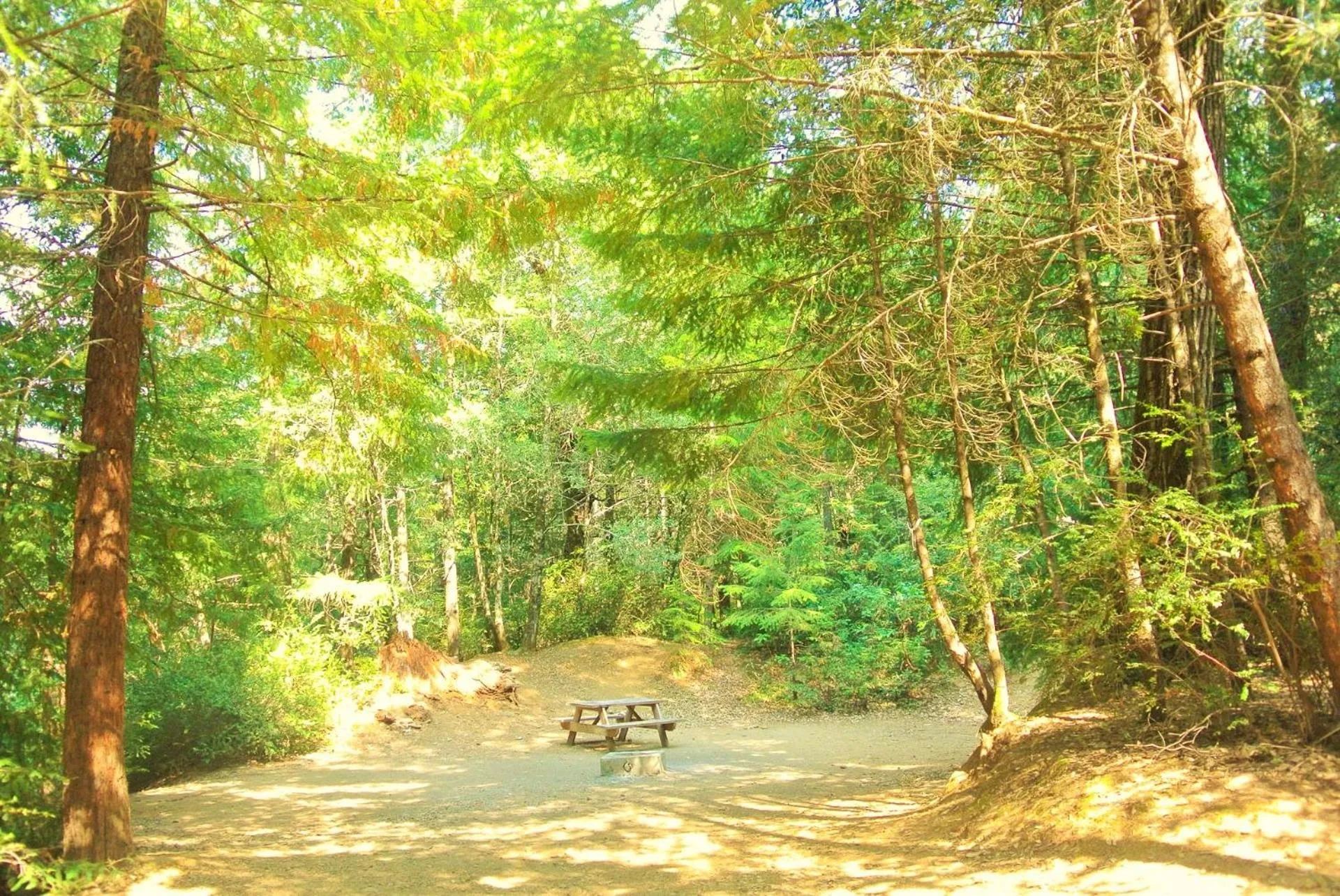 Natural landscape in Redwoods River Resort & Campground