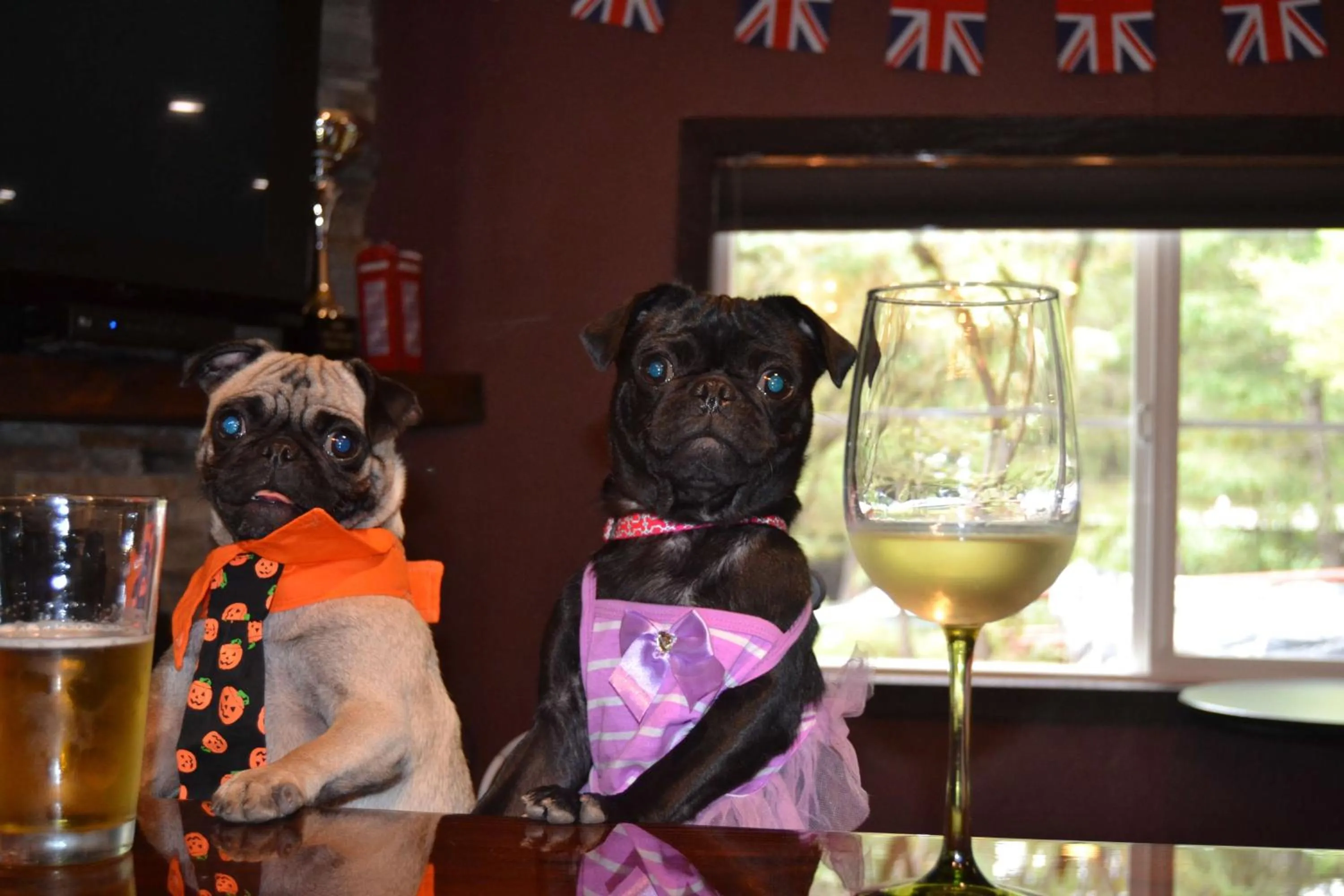 Restaurant/places to eat in Redwoods River Resort & Campground