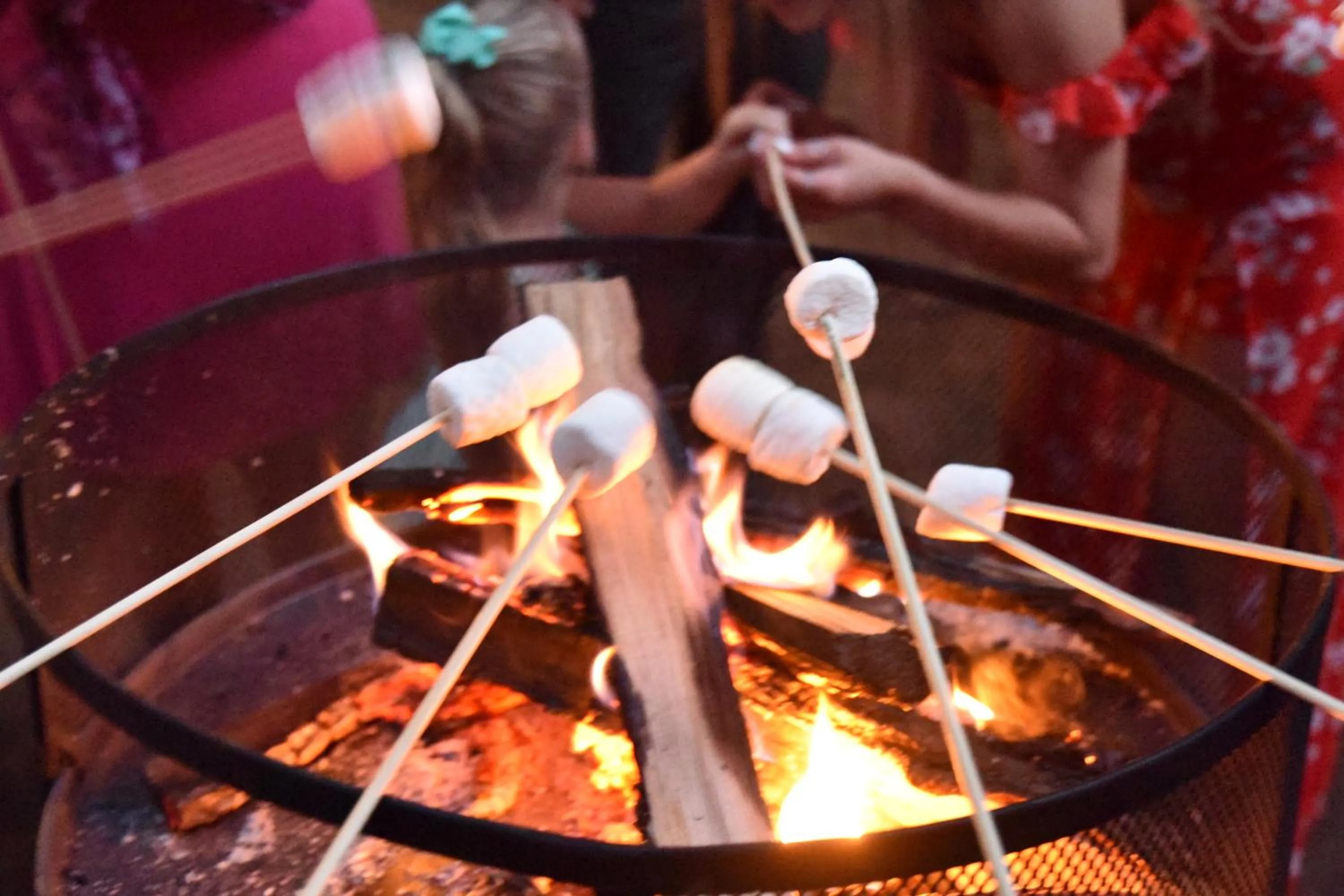 Activities in Redwoods River Resort & Campground