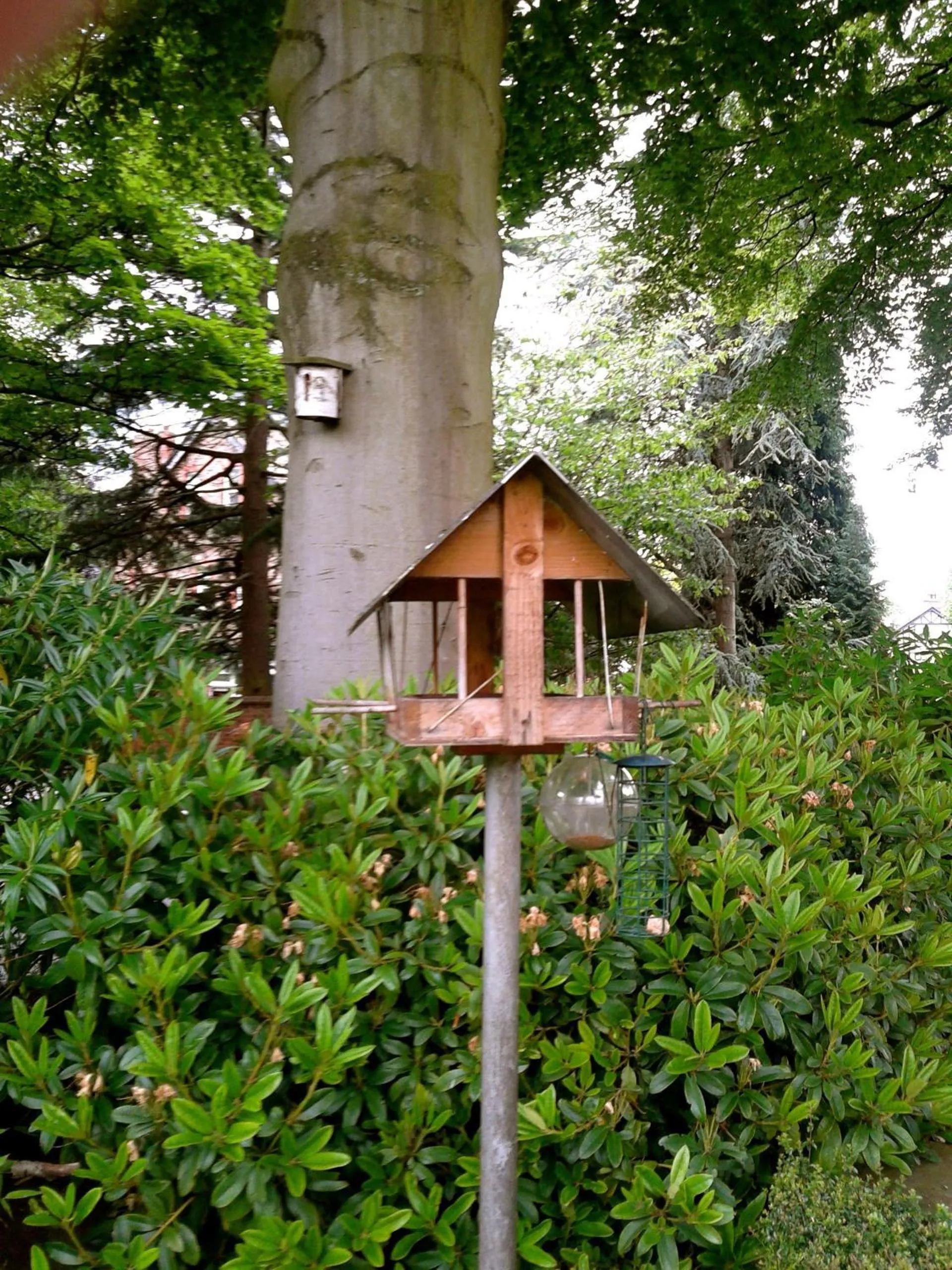 Garden in OYO Cornerstone Manor Hotel