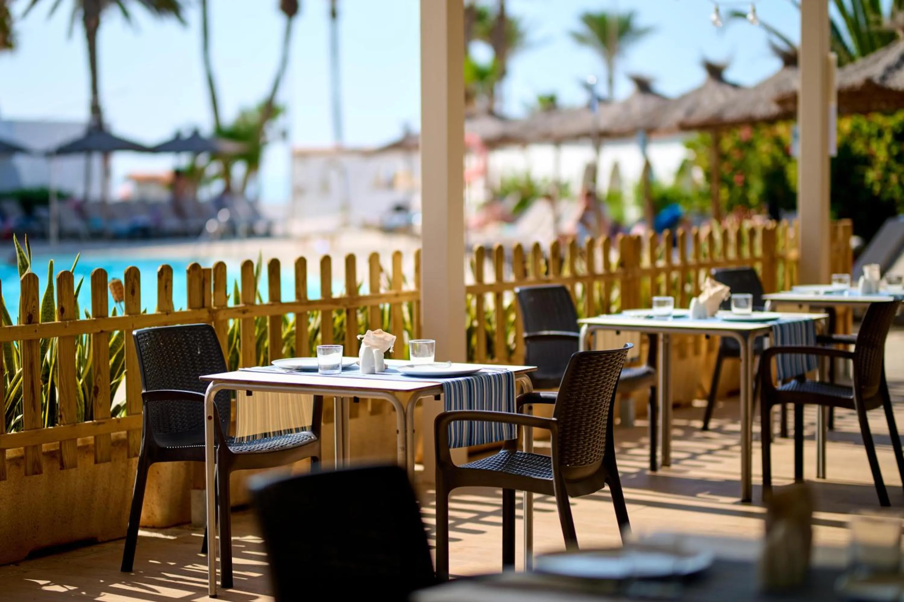 Restaurant/places to eat in Alua Golf Trinidad