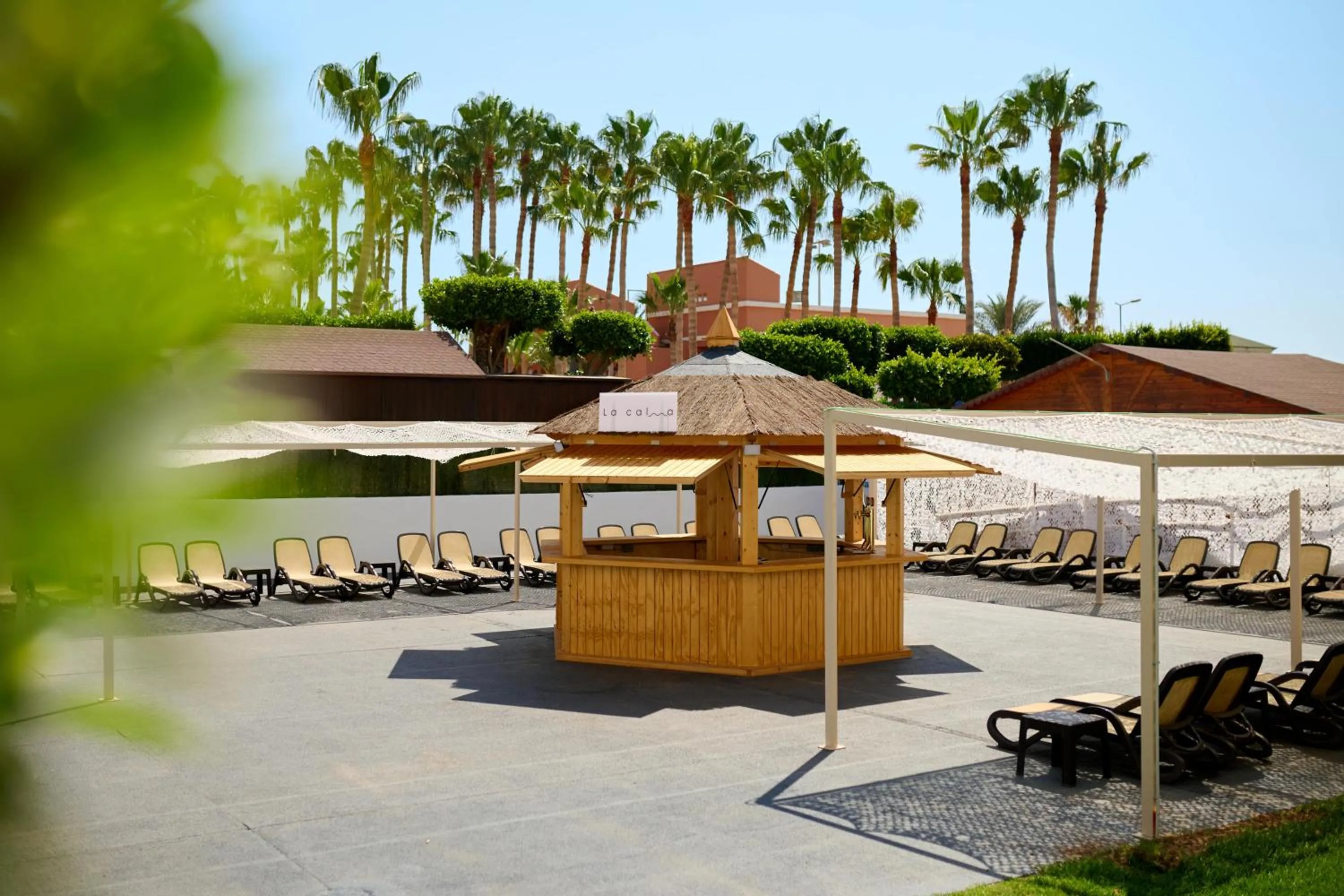 Lounge or bar in Alua Golf Trinidad