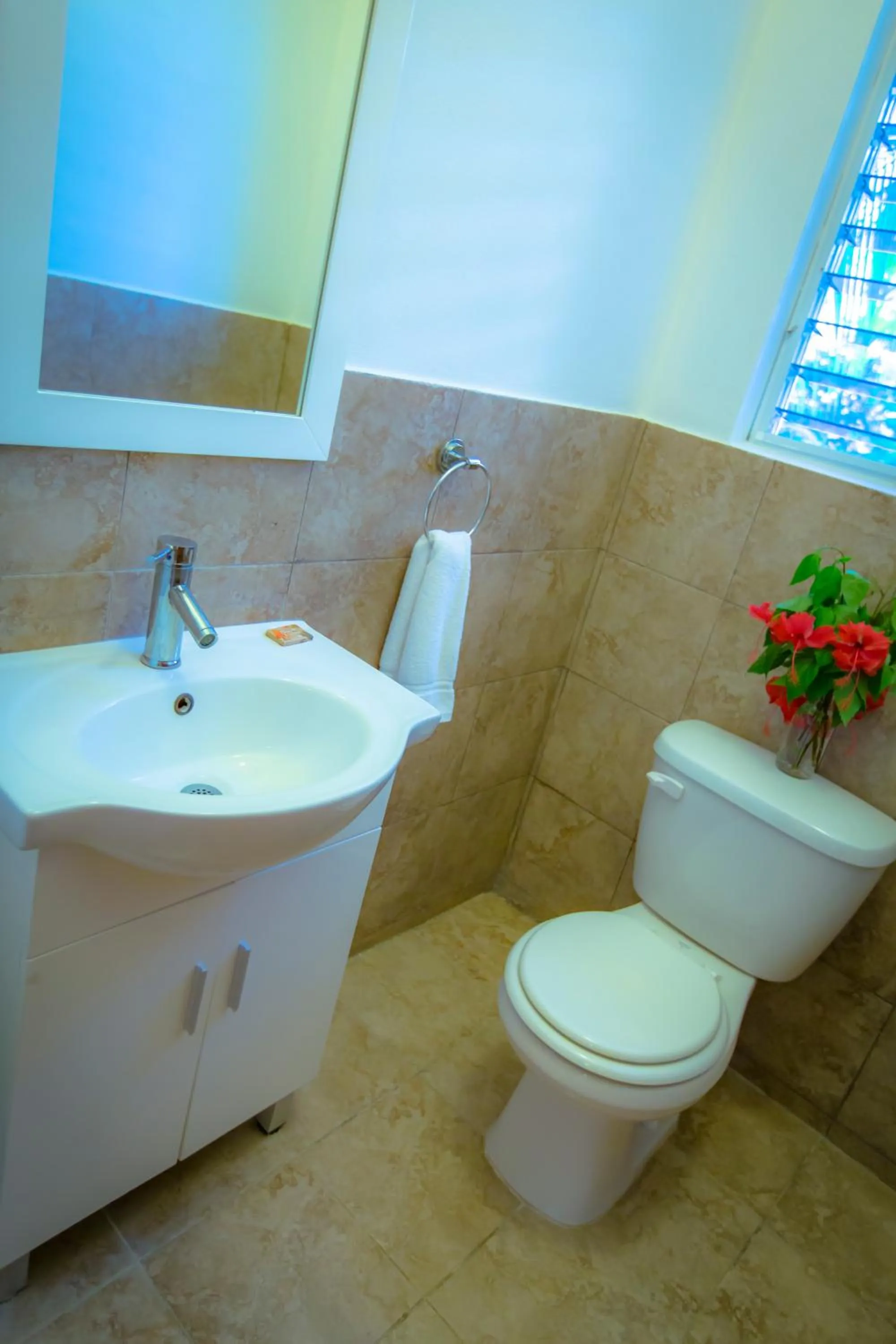 Hotel Restaurant Cyvadier Plage