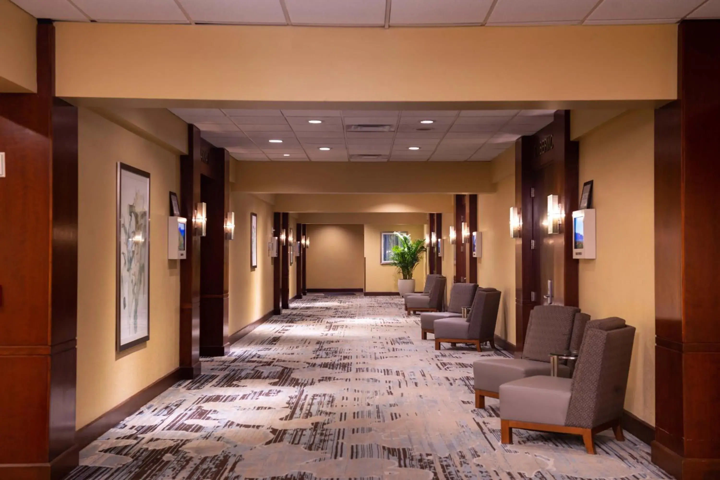 Area and facilities in DoubleTree by Hilton Hotel Tampa Airport-Westshore