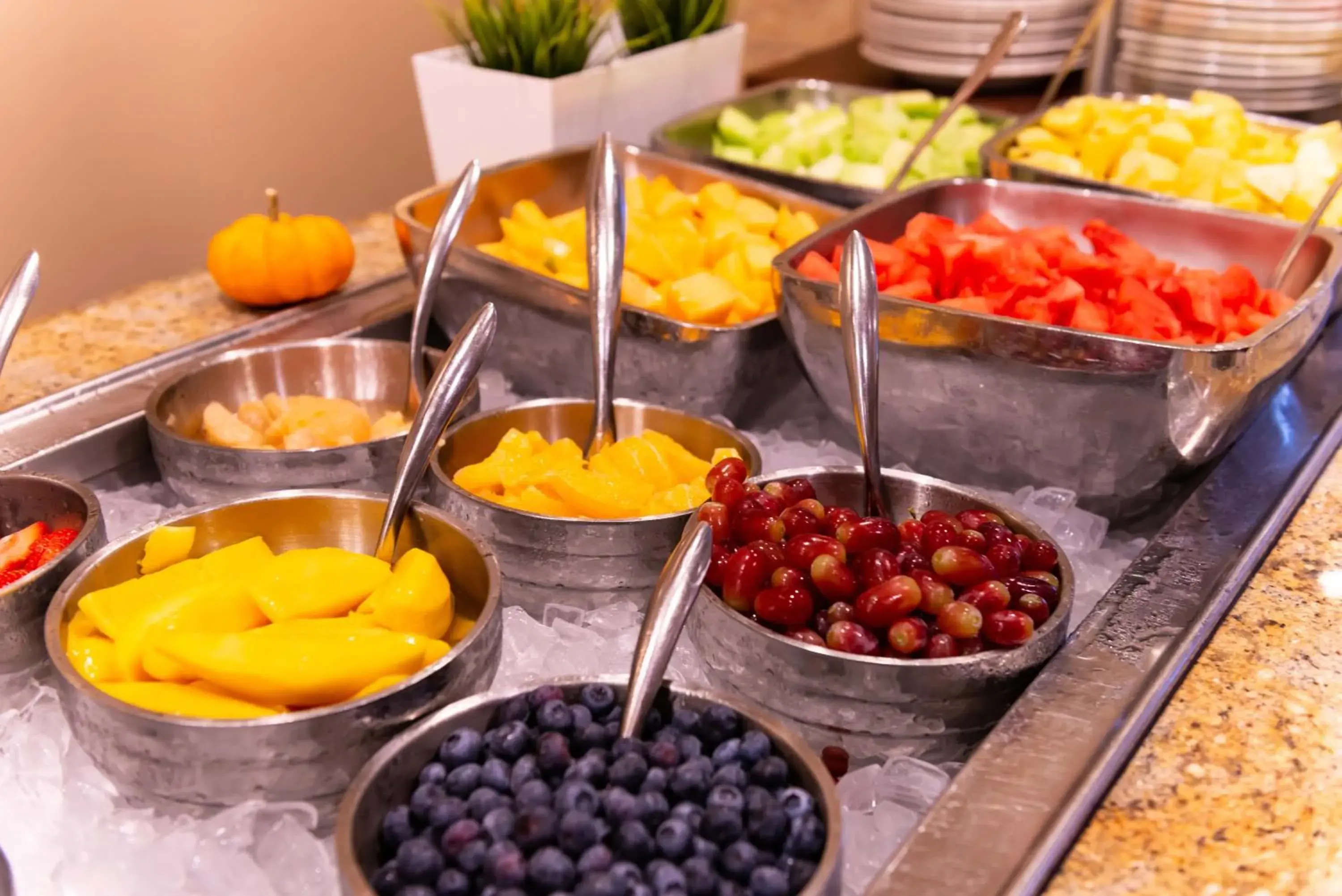 Breakfast, Food in DoubleTree by Hilton Hotel Tampa Airport-Westshore