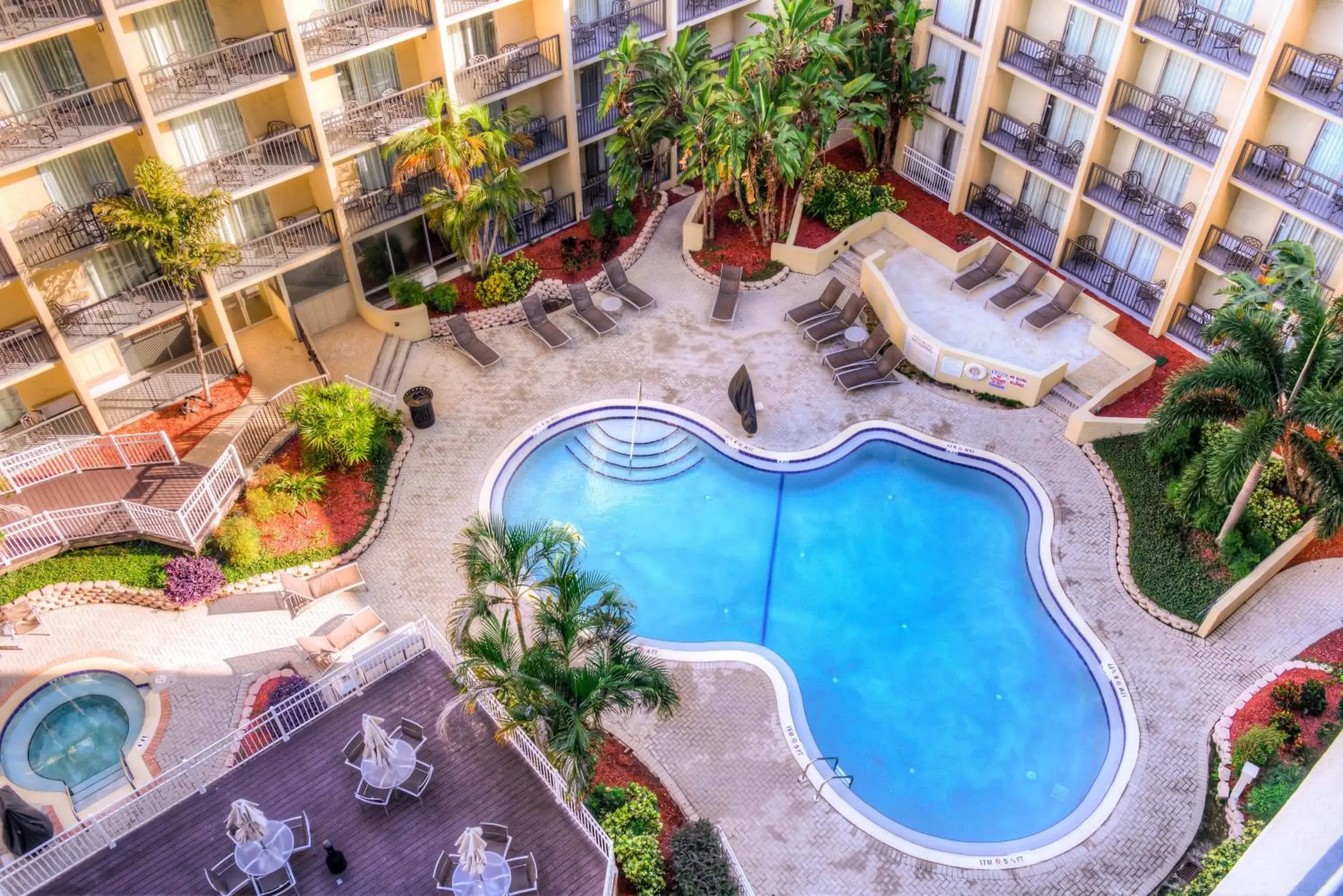 Pool View in DoubleTree by Hilton Hotel Tampa Airport-Westshore