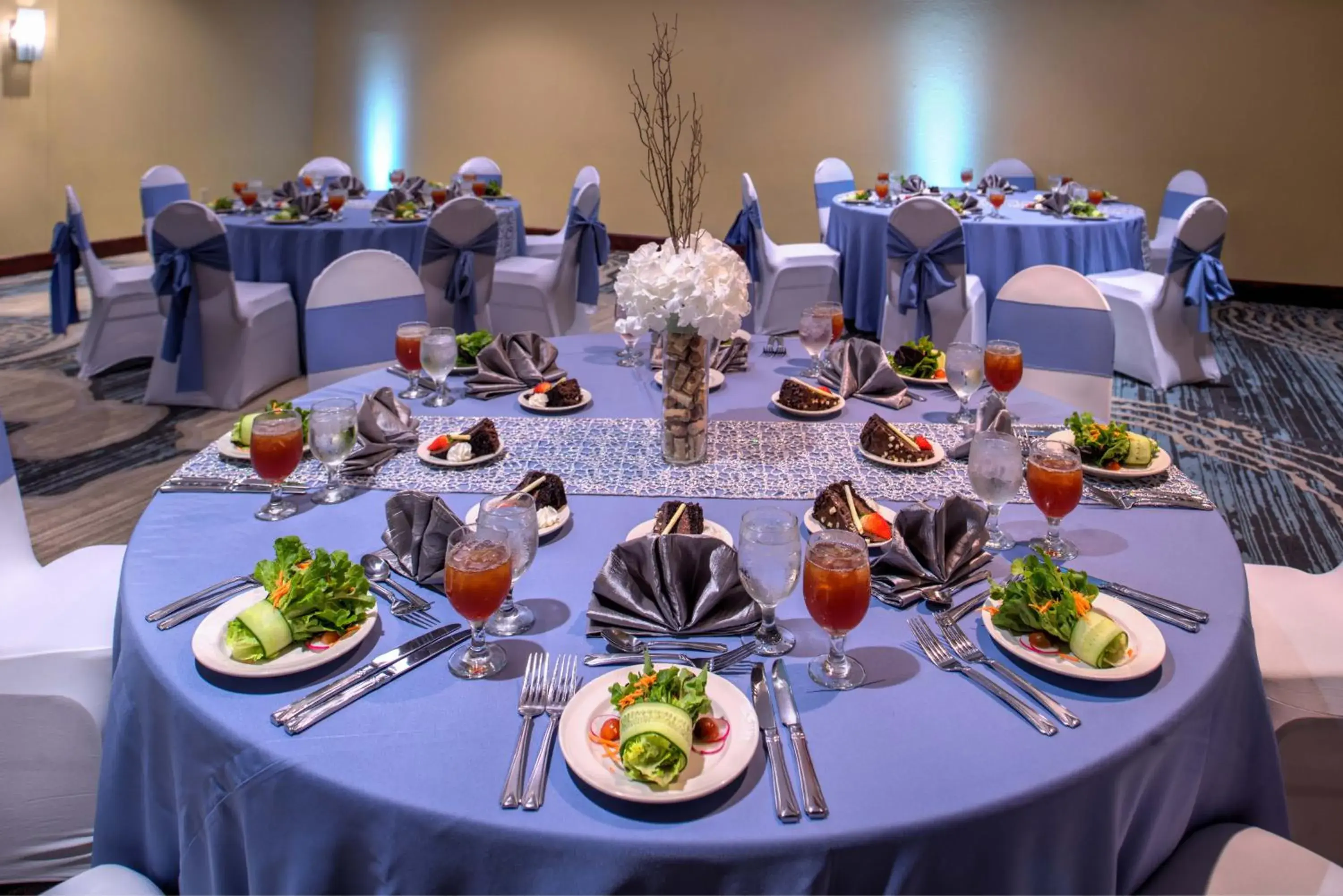 Food and drinks, Banquet Facilities in DoubleTree by Hilton Hotel Tampa Airport-Westshore