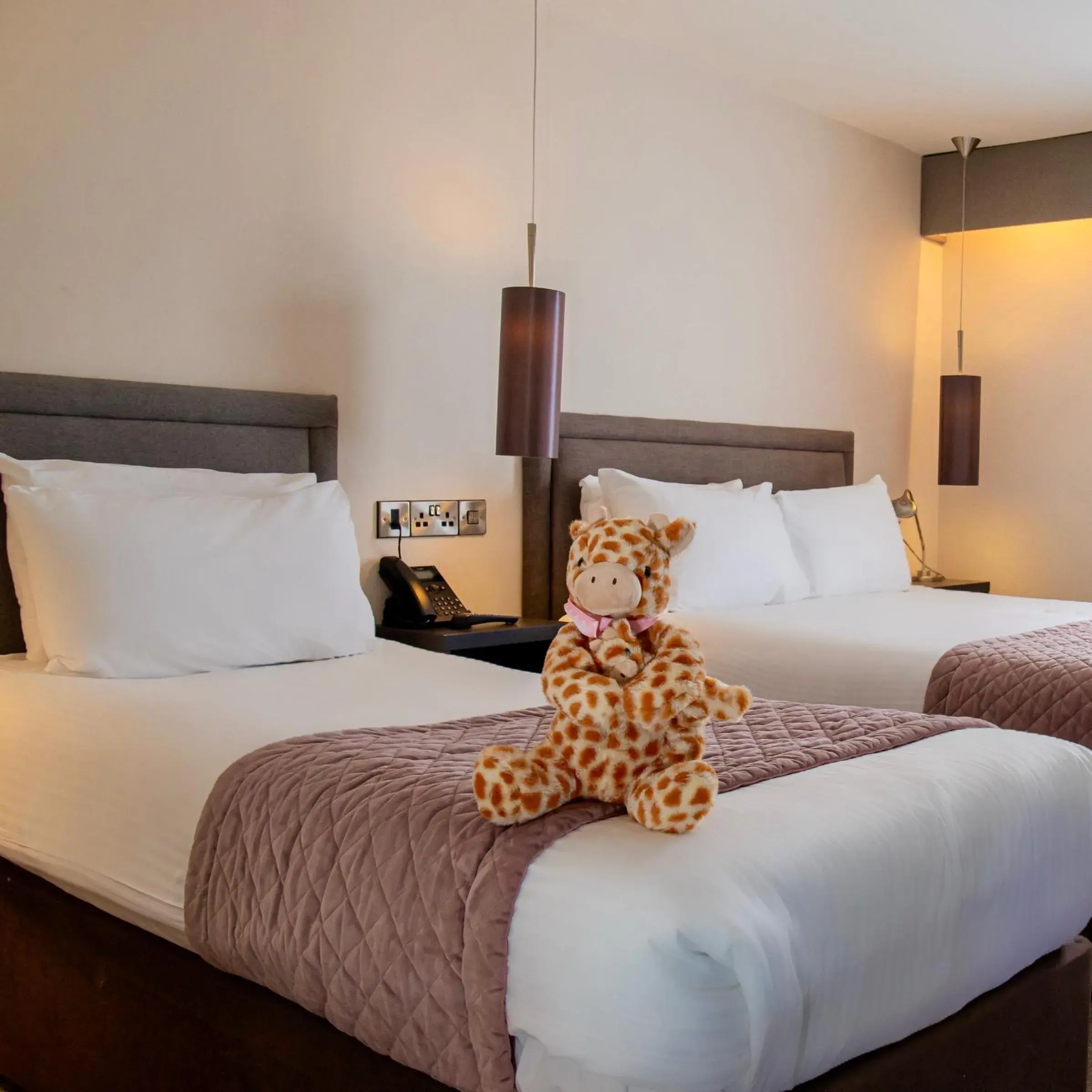 Twin Room in The Enniskillen Hotel and Motel Twin Room in The Enniskillen Hotel and Motel