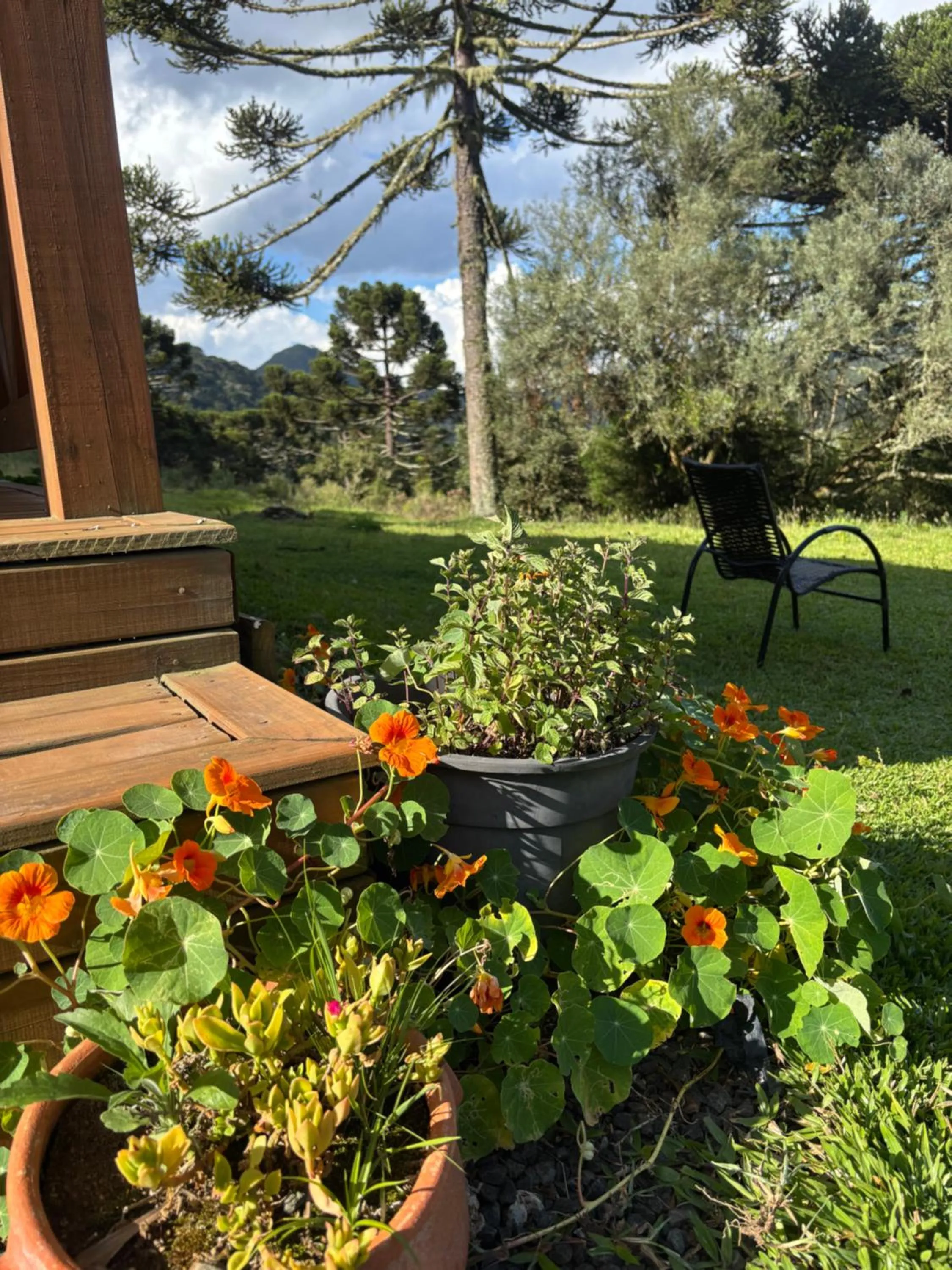 Garden in Casa da Montanha