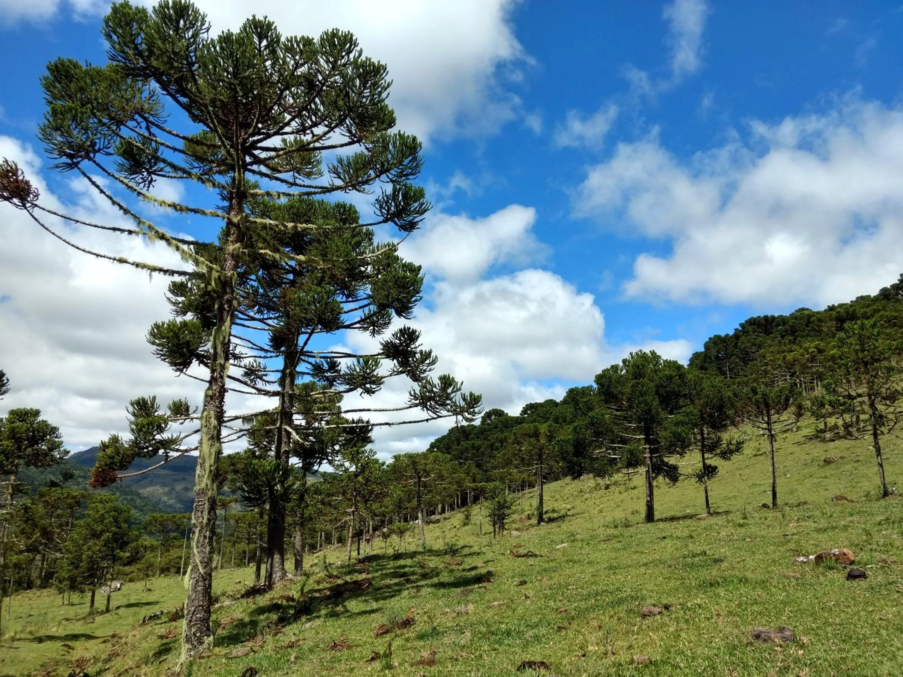 Natural landscape in Casa da Montanha