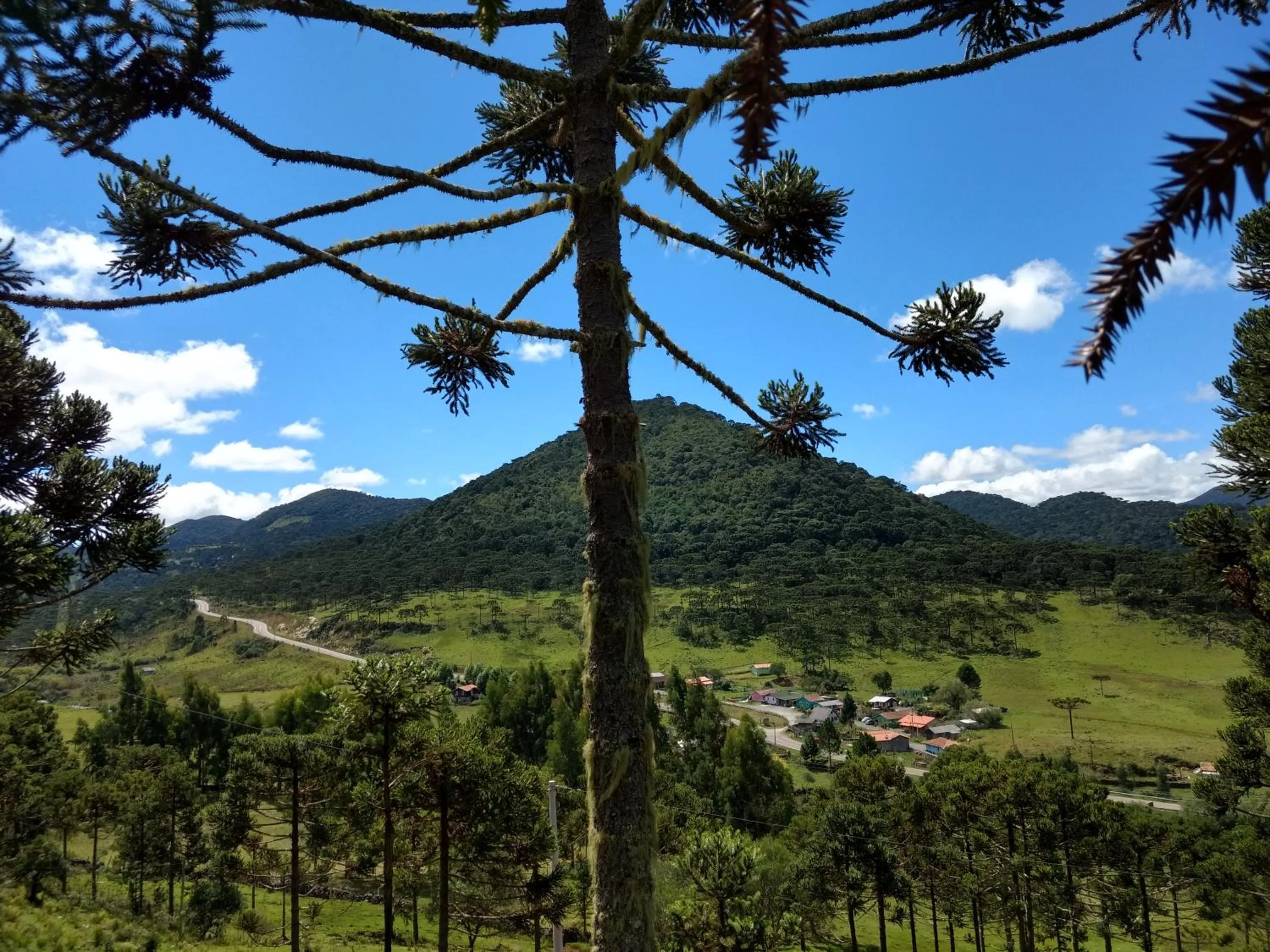 Natural landscape in Casa da Montanha