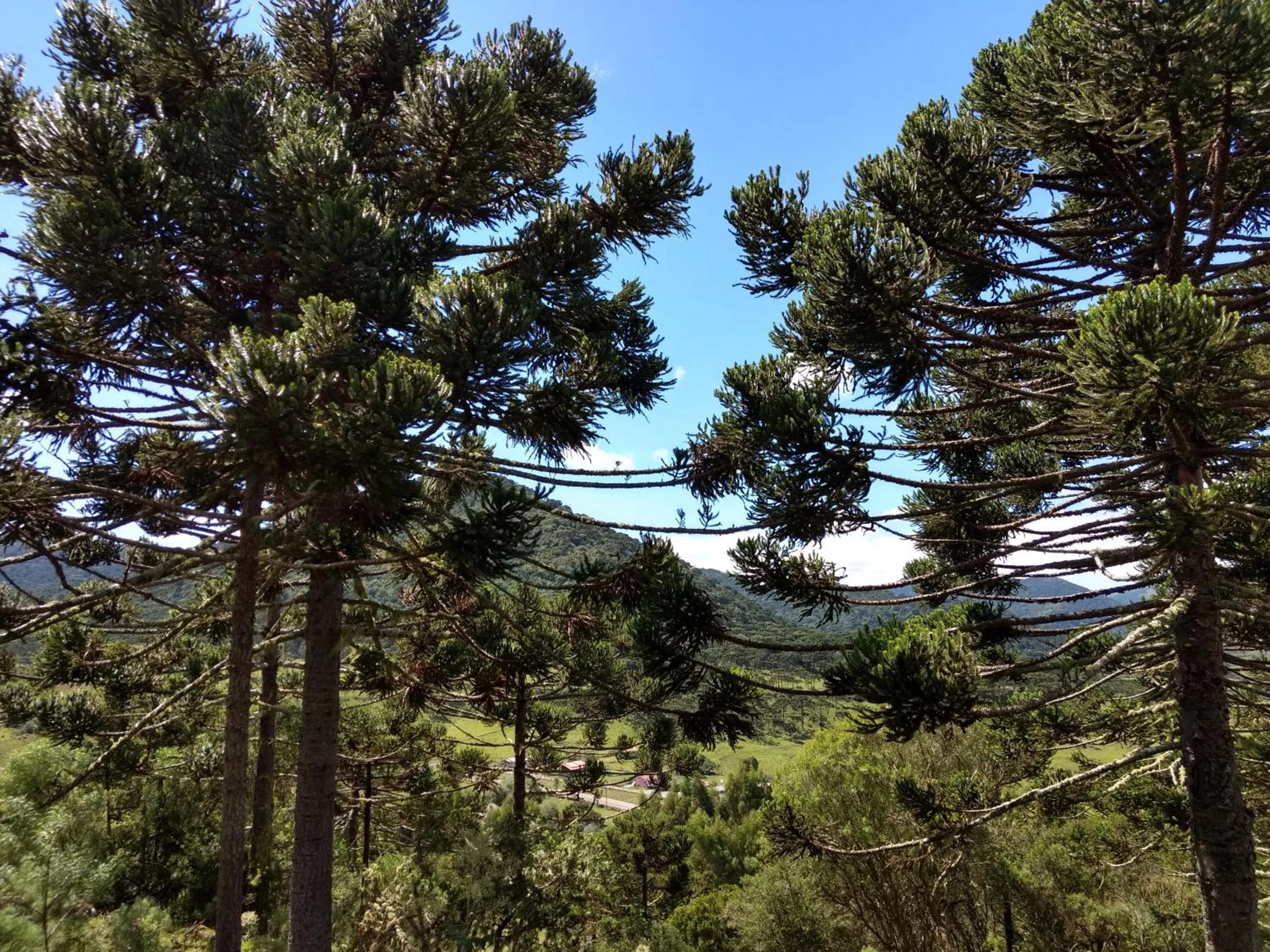 Natural landscape in Casa da Montanha