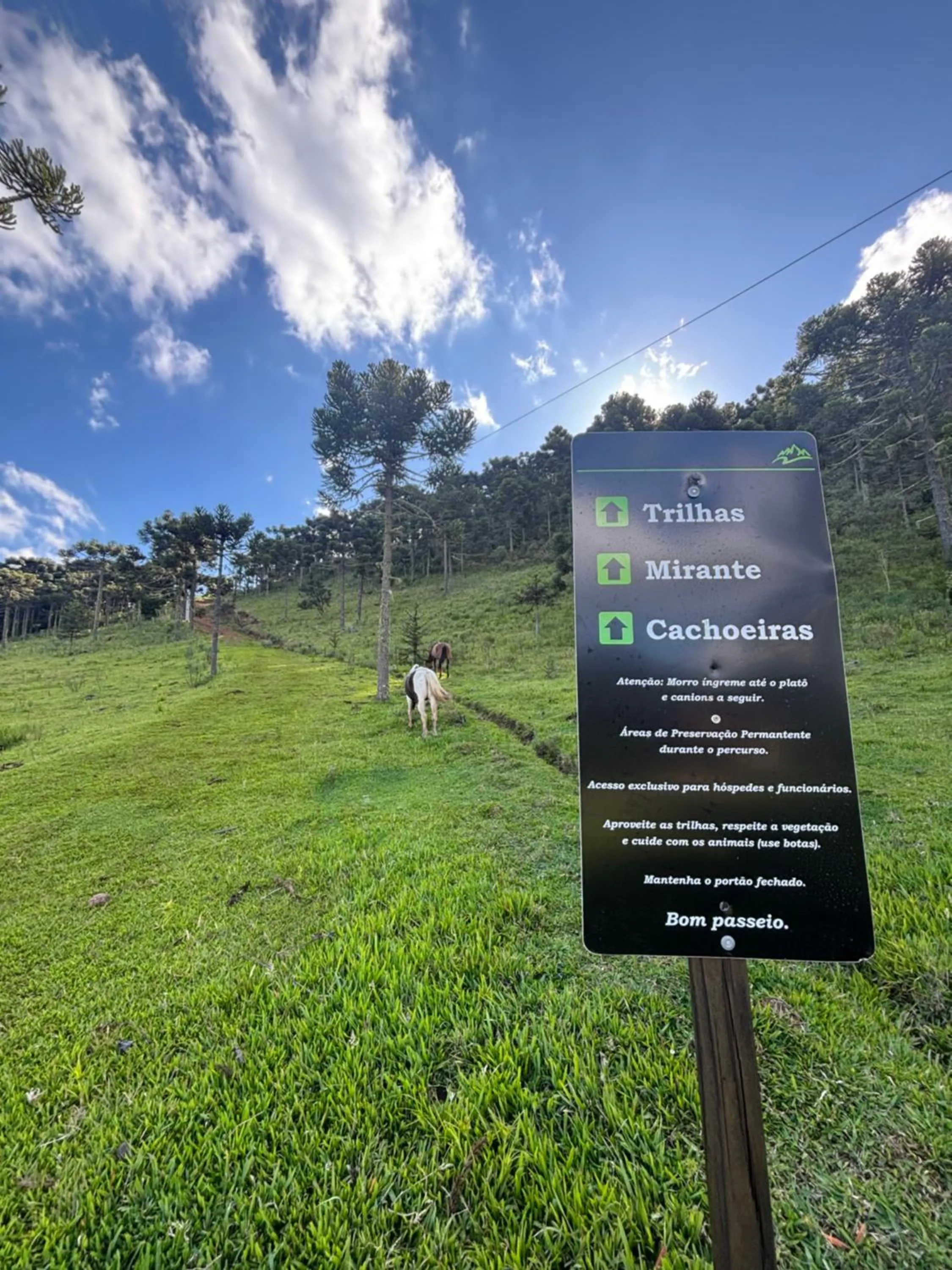 Hiking in Casa da Montanha