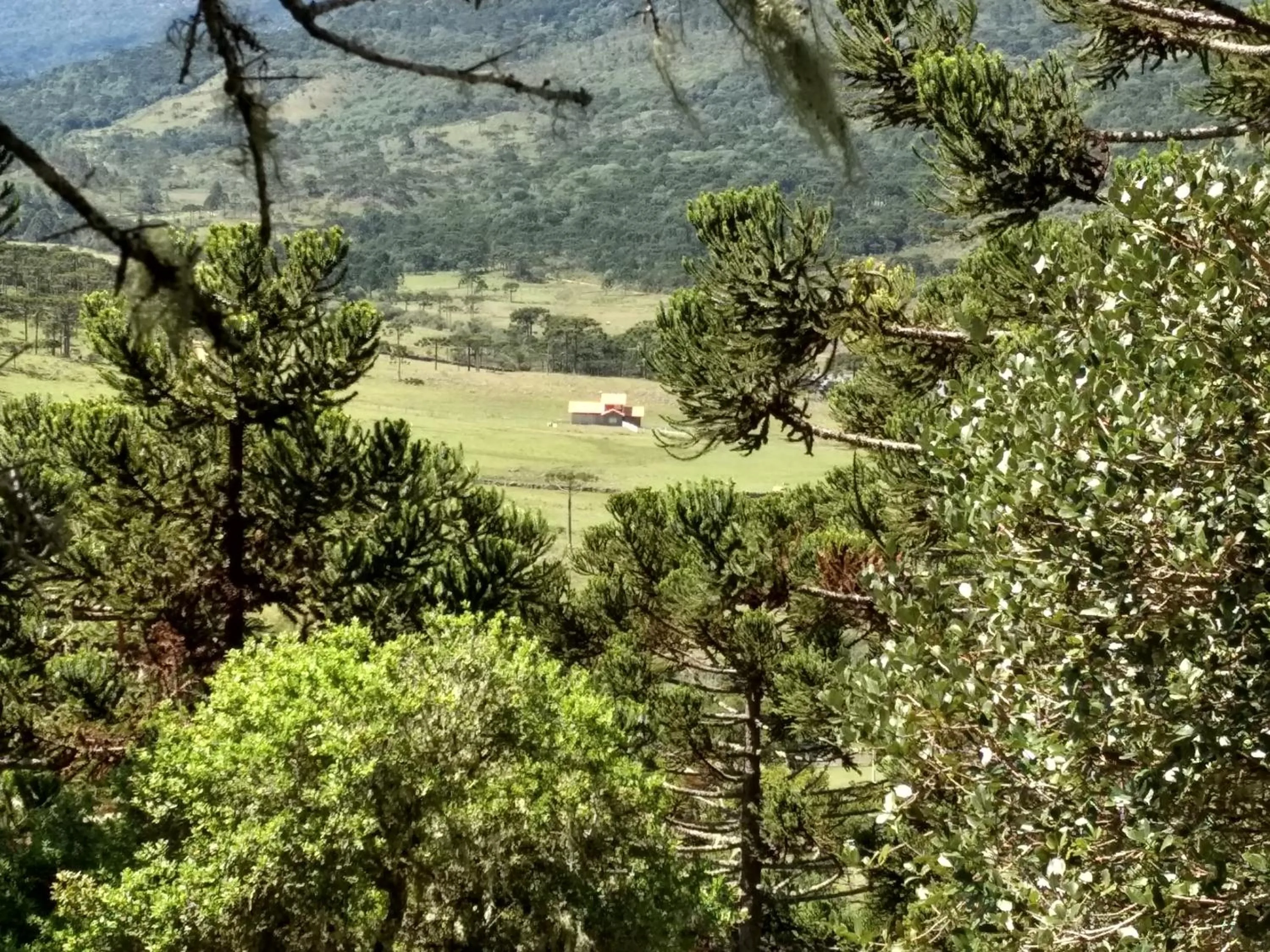 Natural landscape in Casa da Montanha