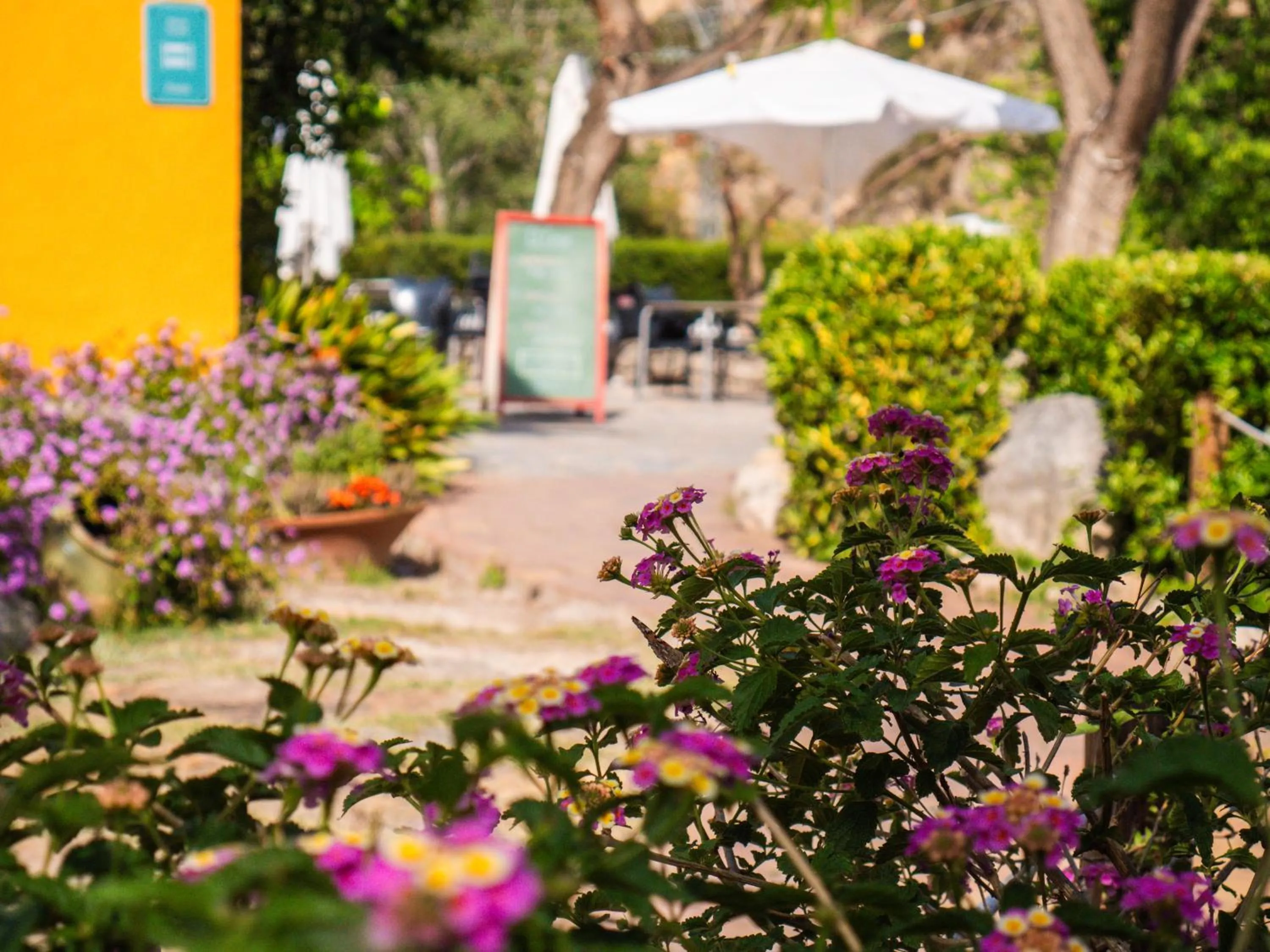 Restaurant/places to eat in El Cerrao-PauNatura