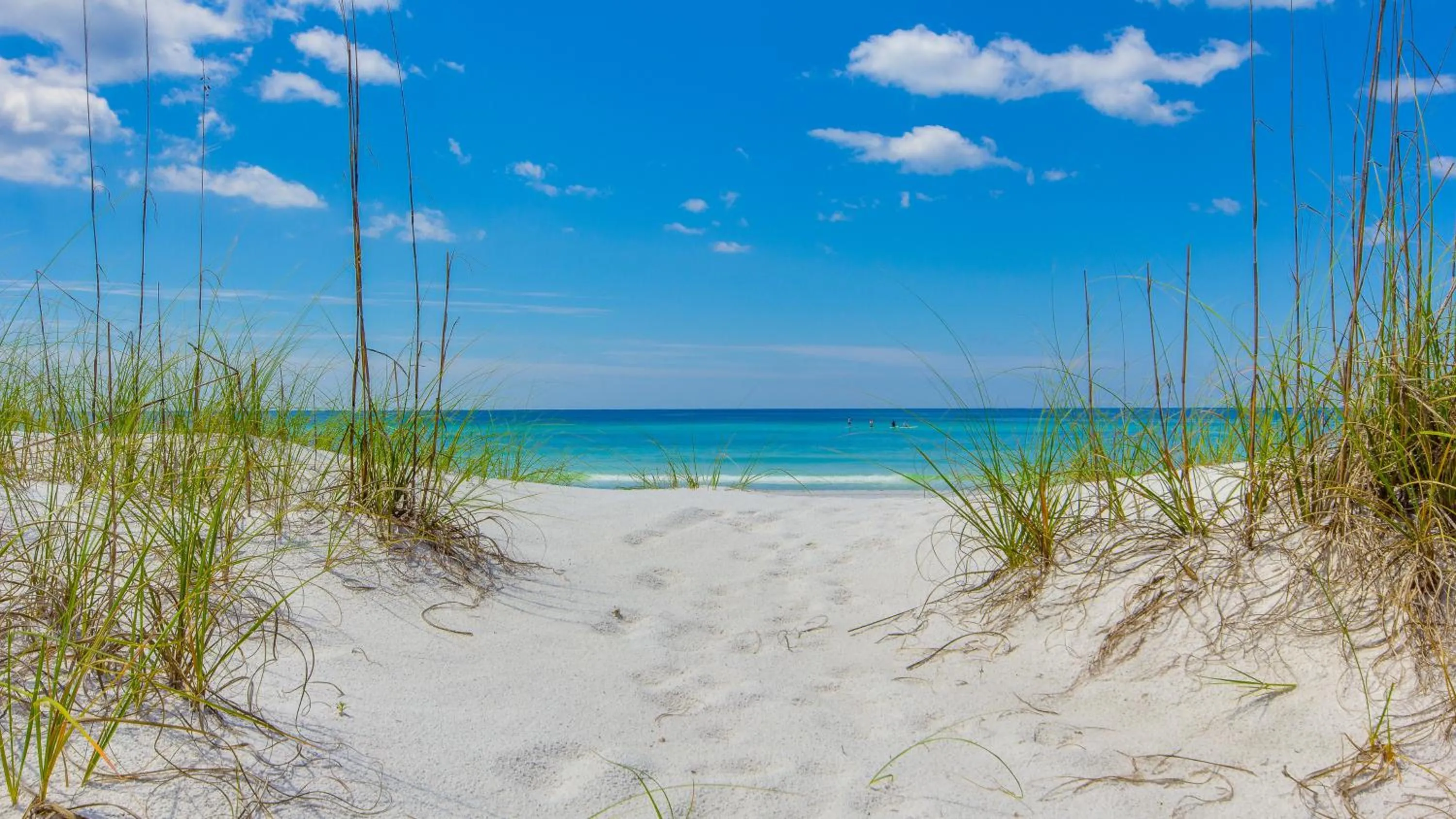 Beachside One 4101