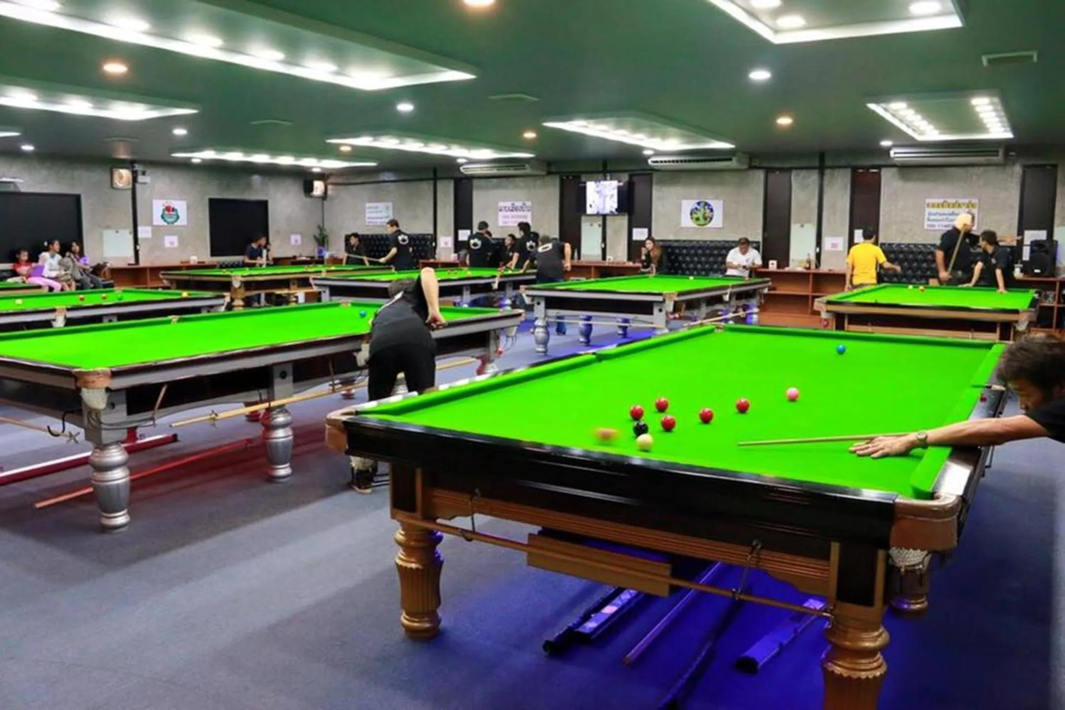 Entertainment in The Greenery central suite & hotel