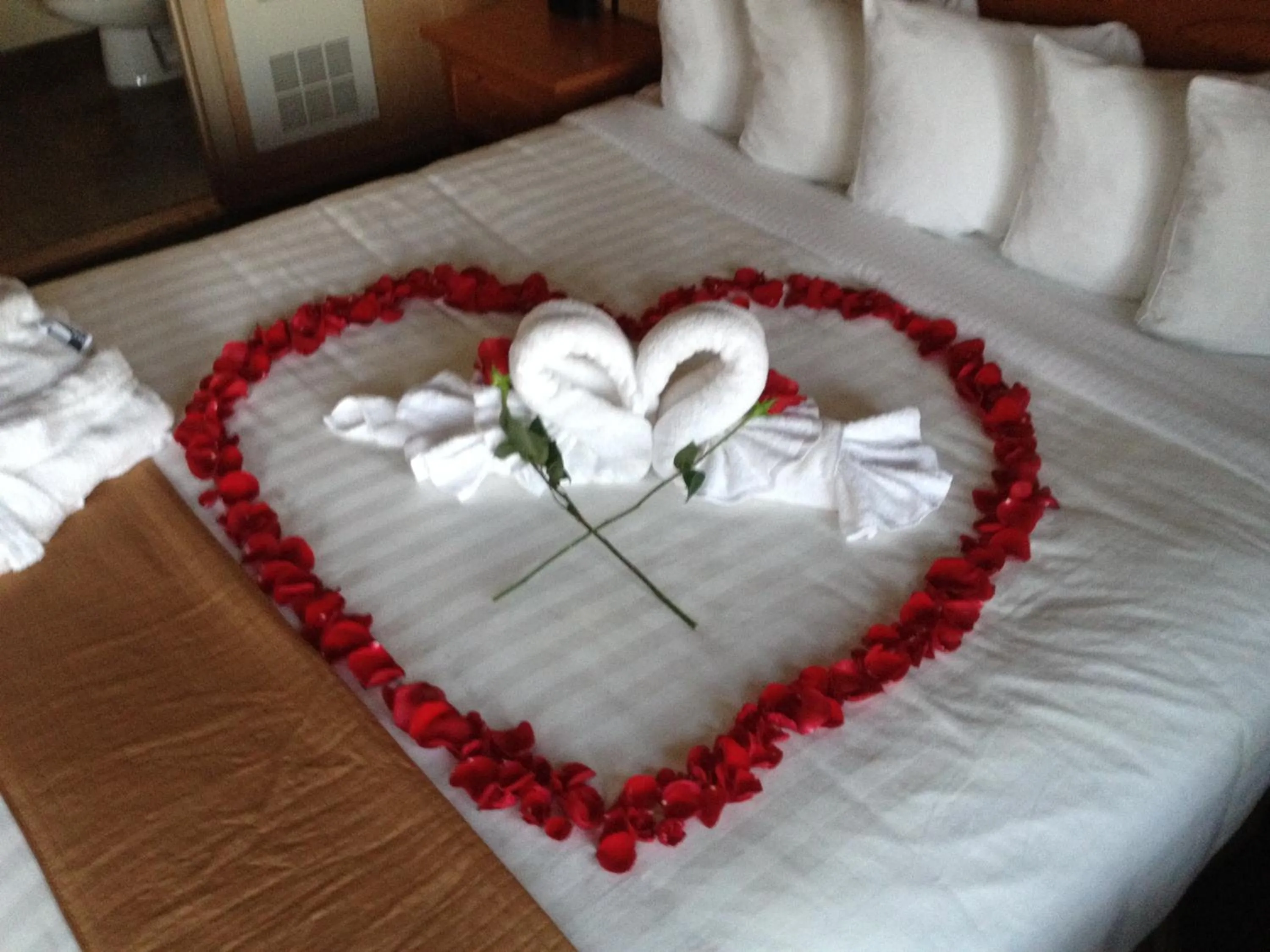 Decorative detail, Bed in Pepper Tree Inn Tahoe City
