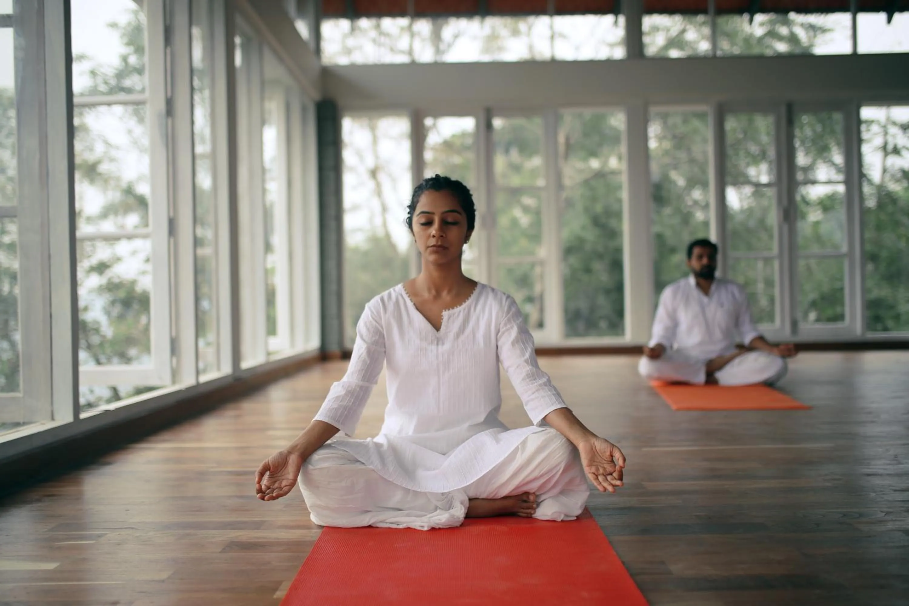 SpiceTree Rajakumari