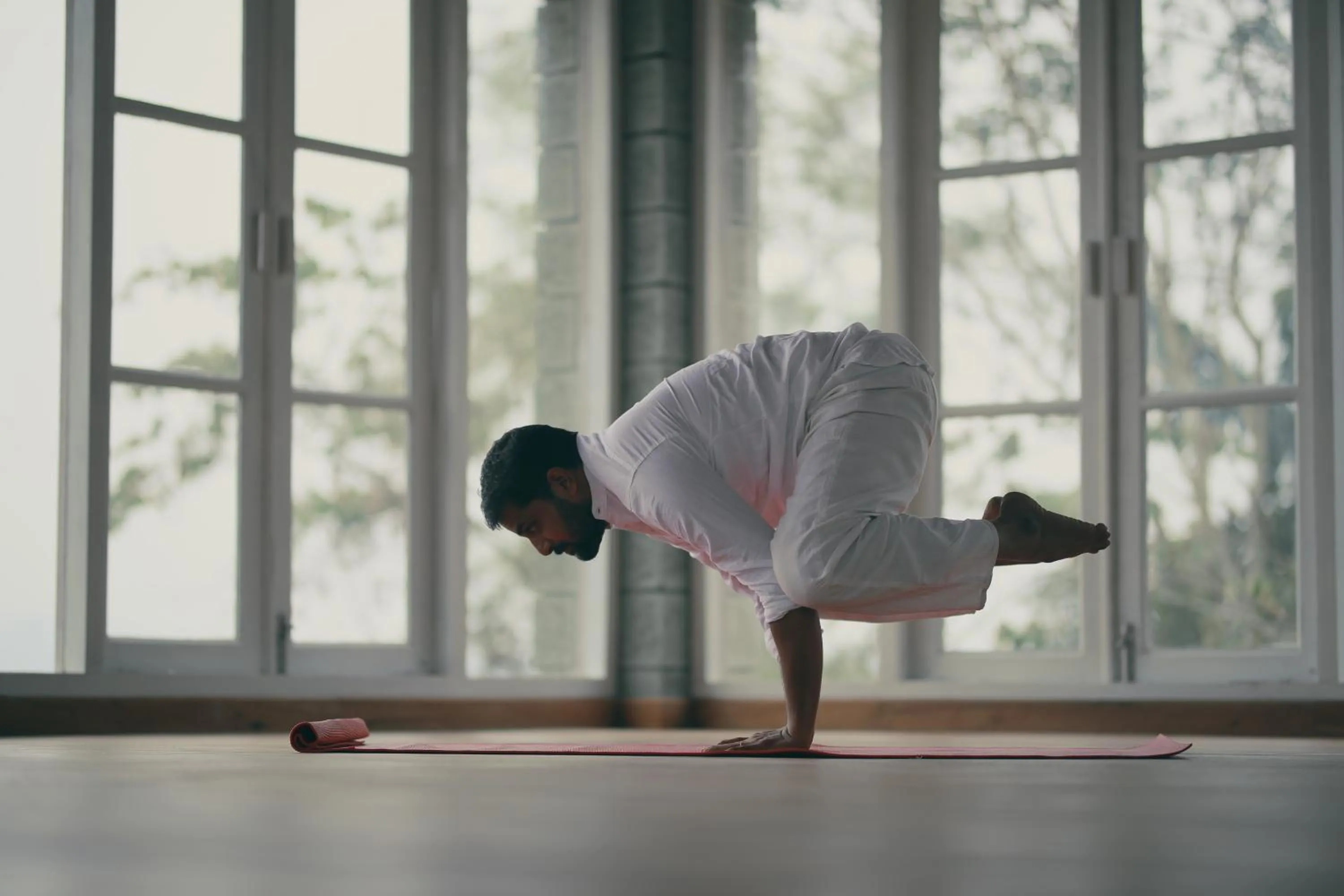 SpiceTree Rajakumari