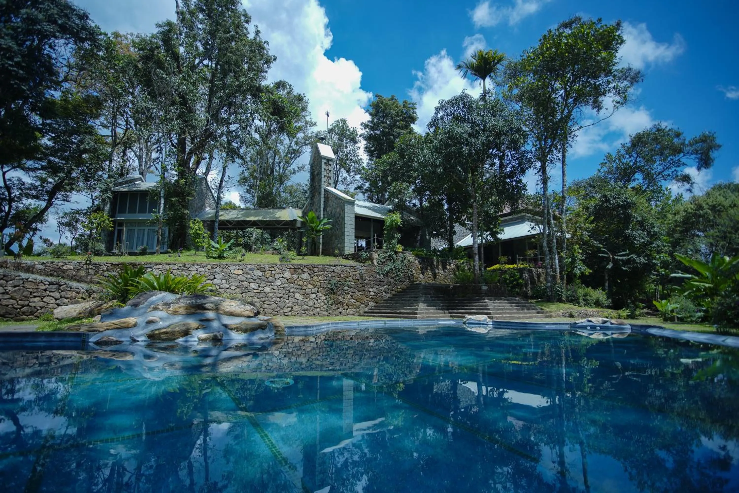 SpiceTree Rajakumari