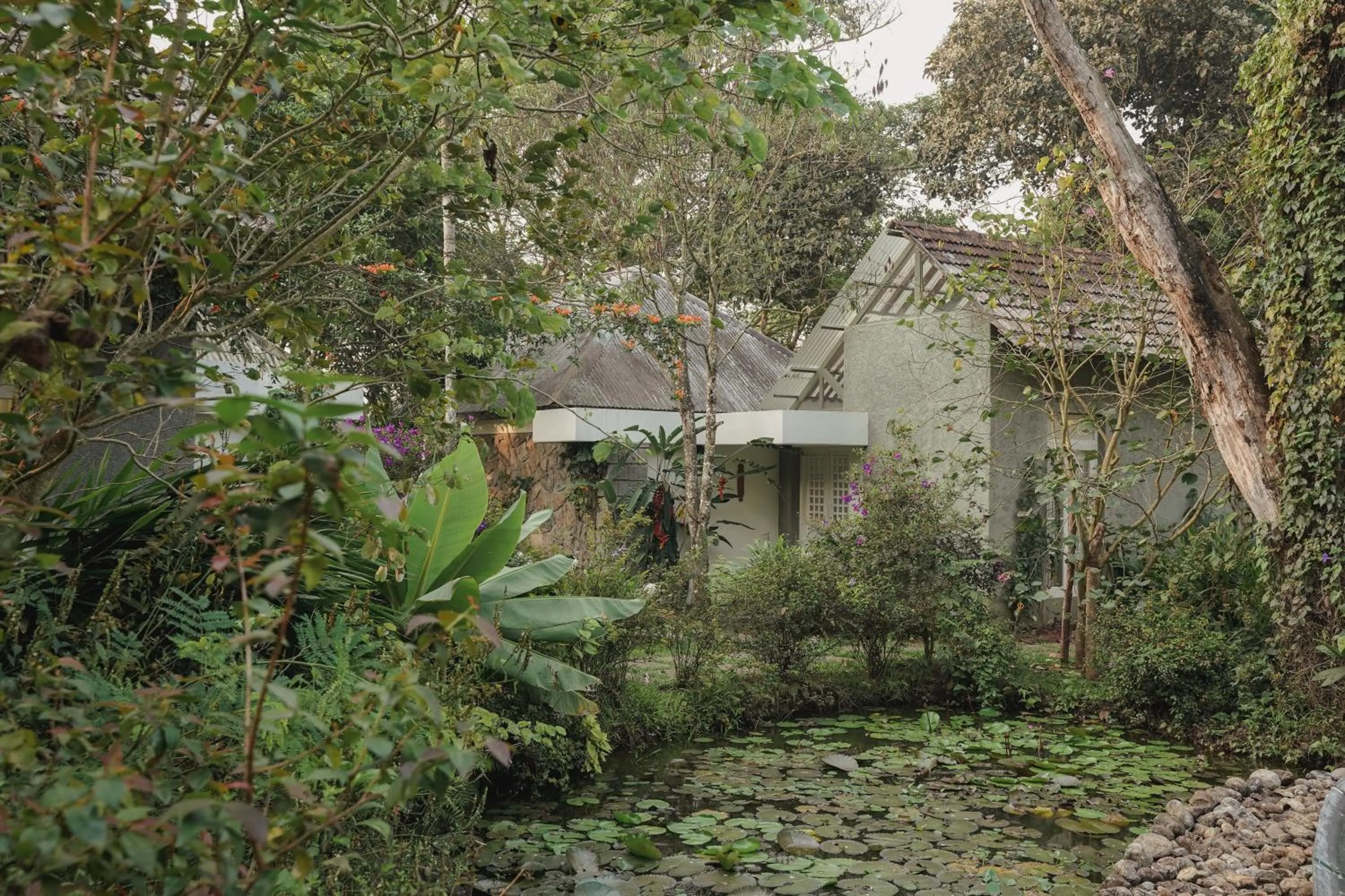 SpiceTree Rajakumari