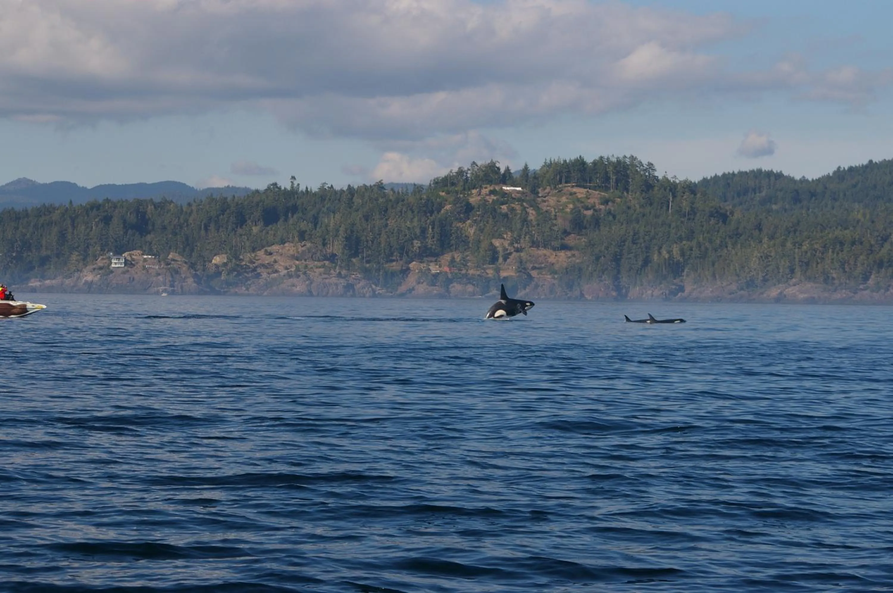 Activities in Salty Towers Ocean Front Cottages