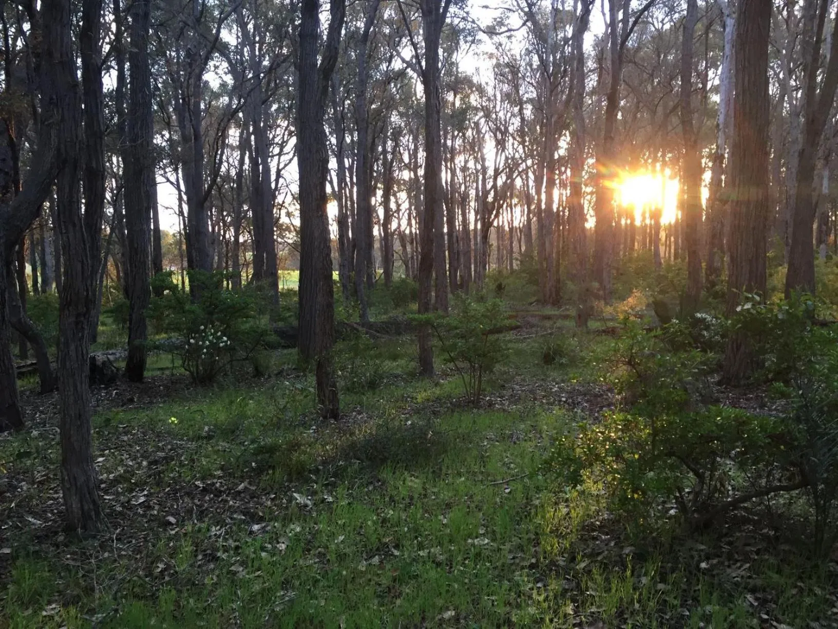 Natural landscape in Simala Retreat