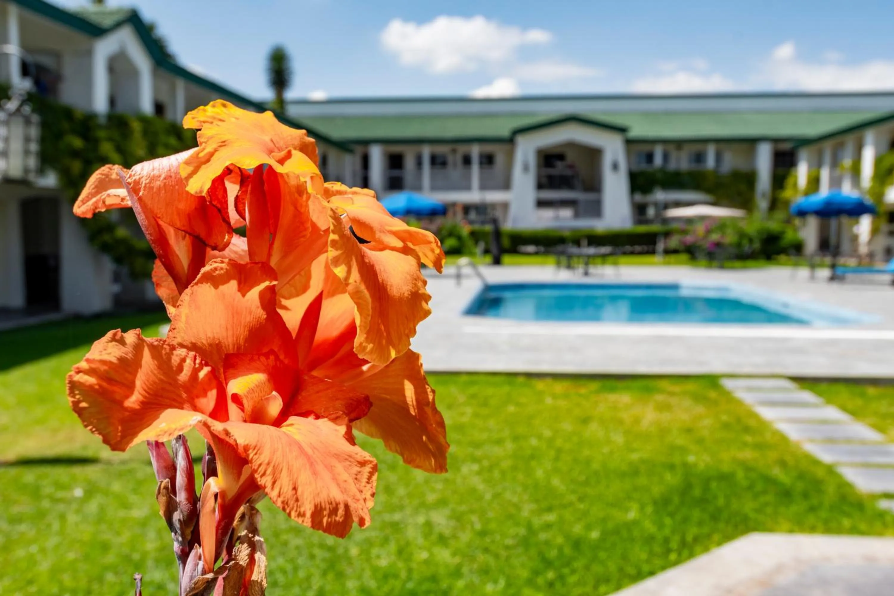 Garden in Quinta Dorada Hotel & Suites