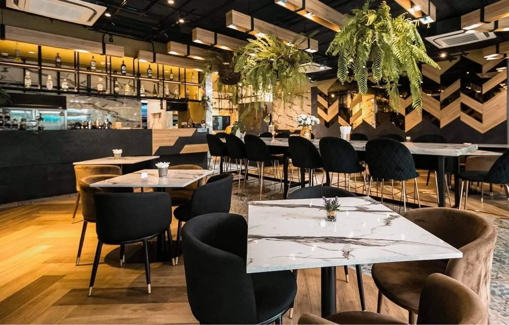 Restaurant/places to eat in Rak Elegant Hotel Patong Restaurant/places to eat in Rak Elegant Hotel Patong
