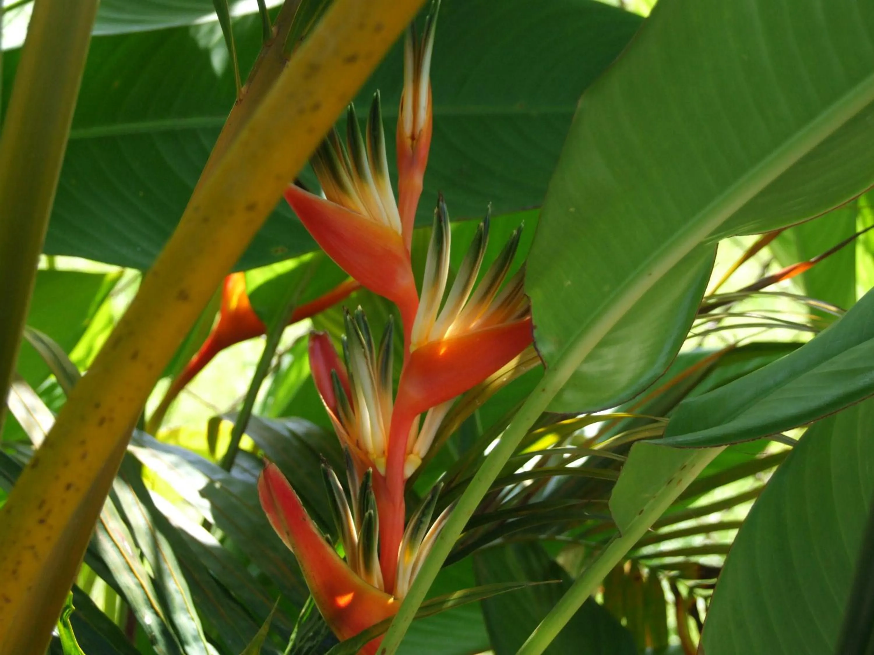 Garden view in Bluewater Lodge