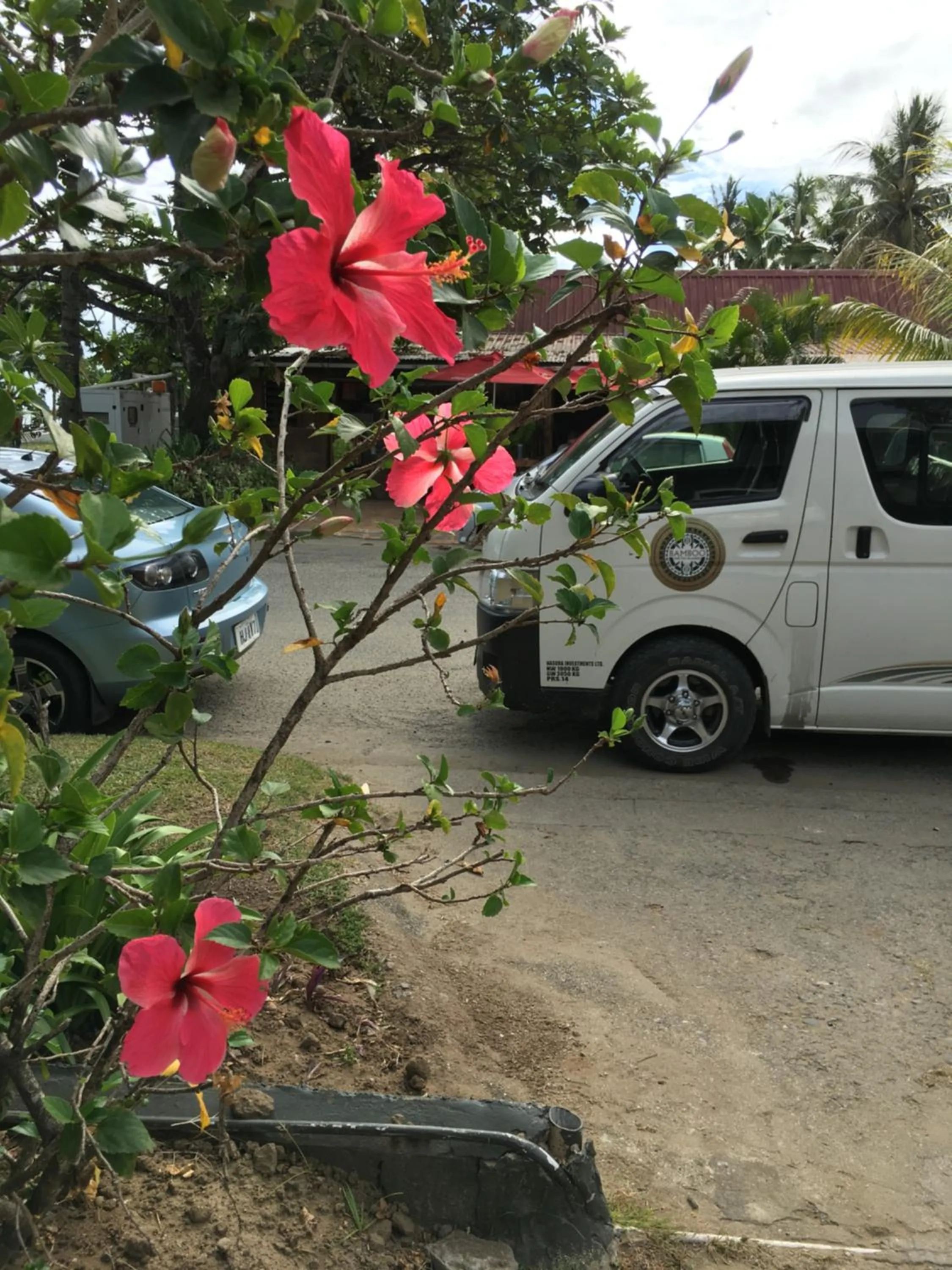 Summer in Bluewater Lodge