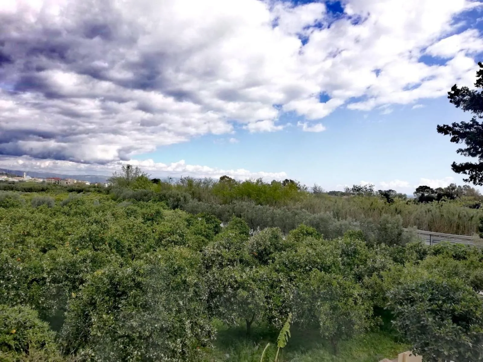 Garden view in LudoMar Country Residence - Rooms & Apartments