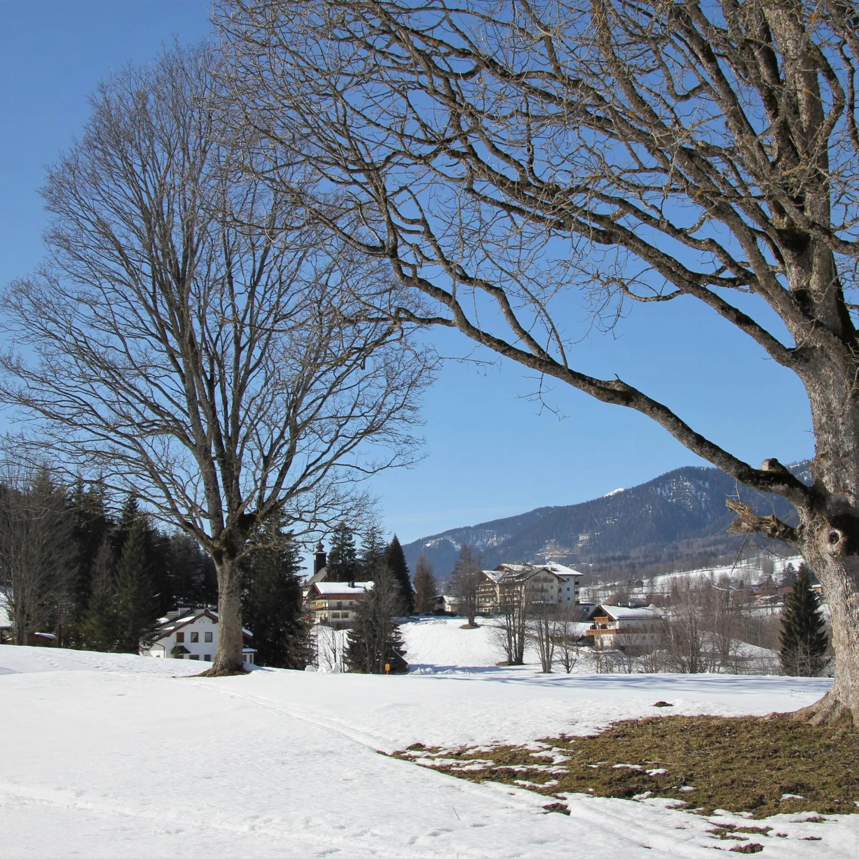 Natural landscape in Hotel Post