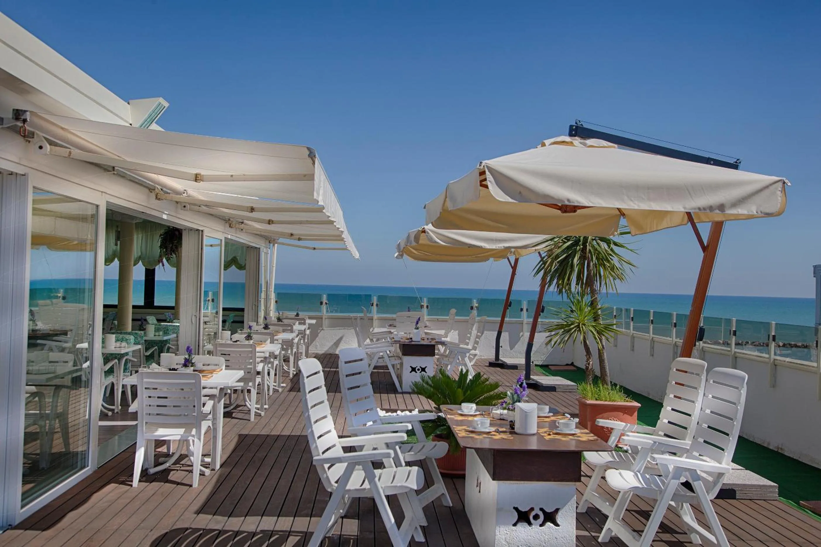Restaurant/places to eat in Hotel Nettuno