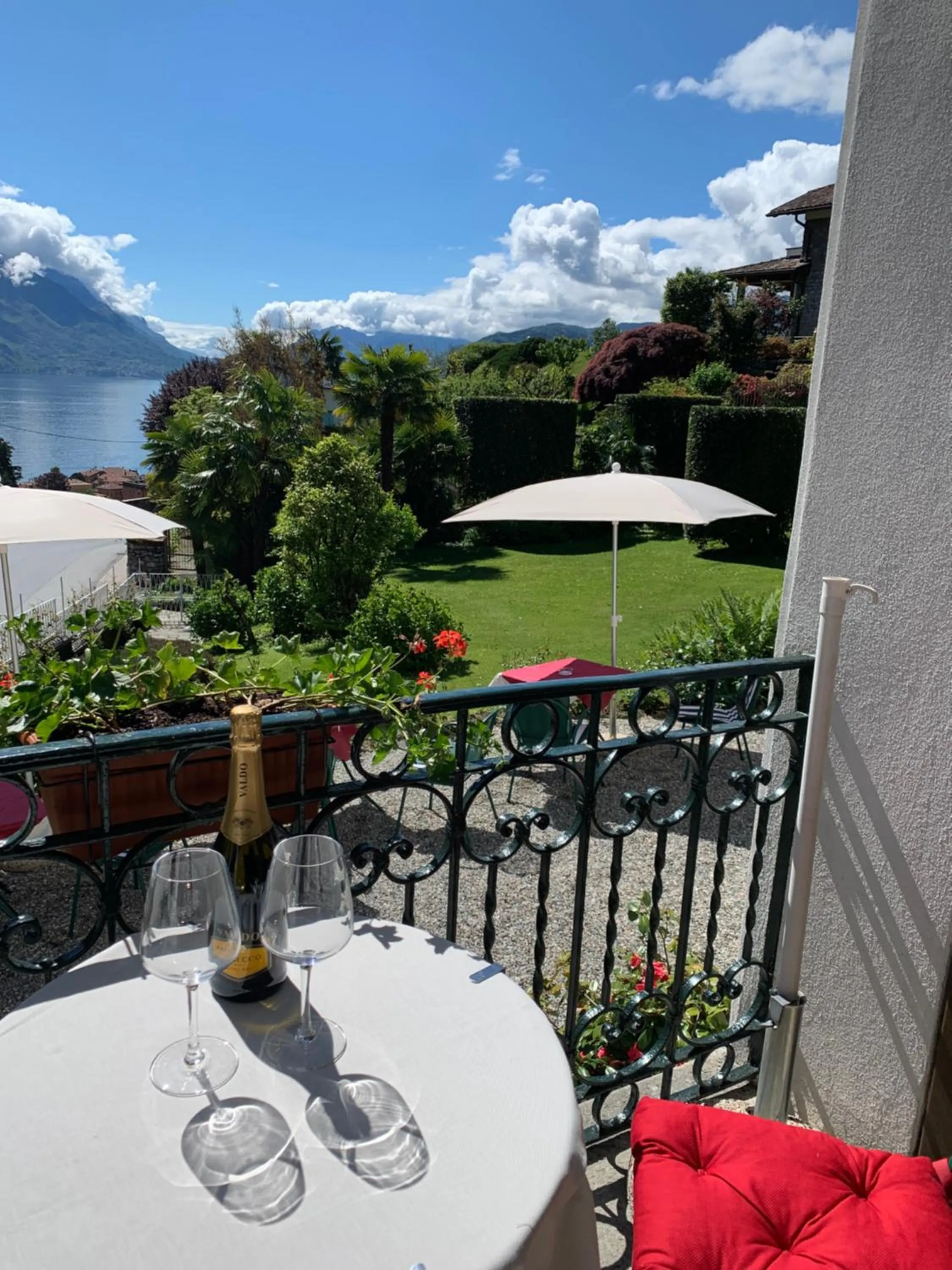 Garden in Hotel Loveno