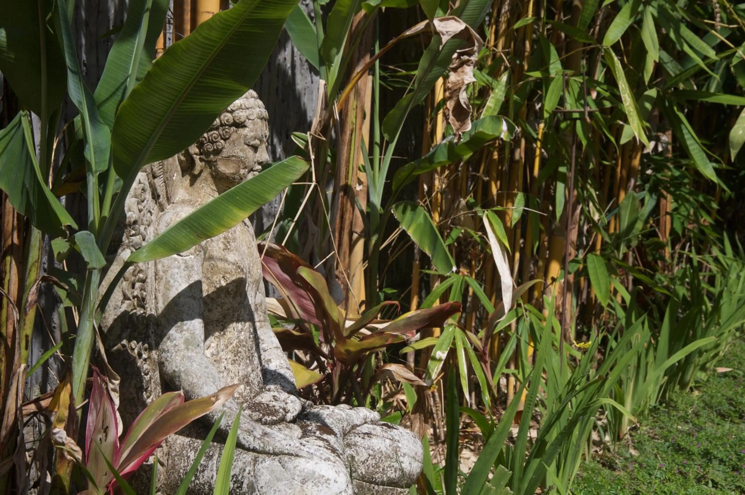 Garden in Taman Rahasia Tropical Sanctuary and Spa