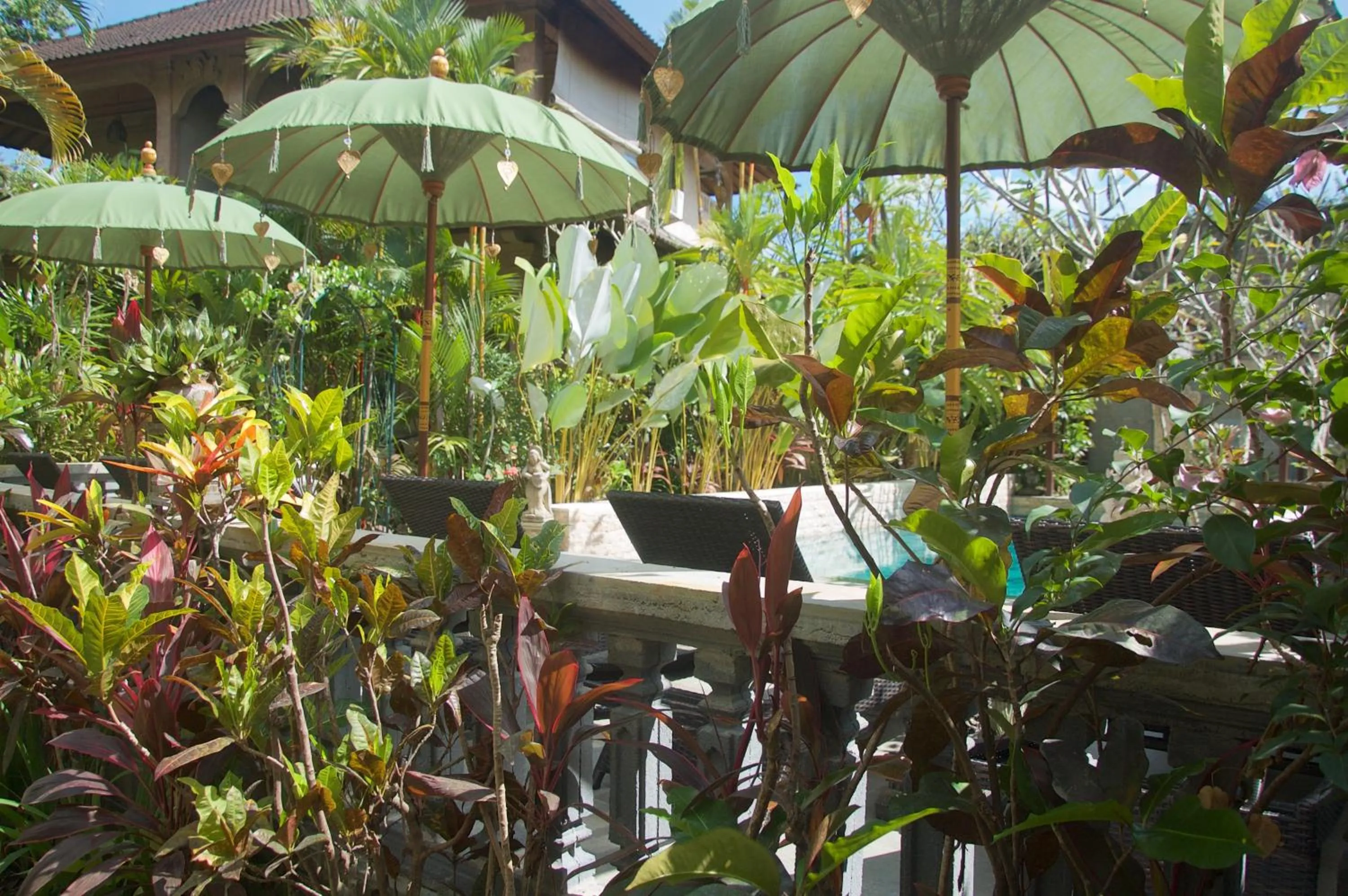 Garden in Taman Rahasia Tropical Sanctuary and Spa