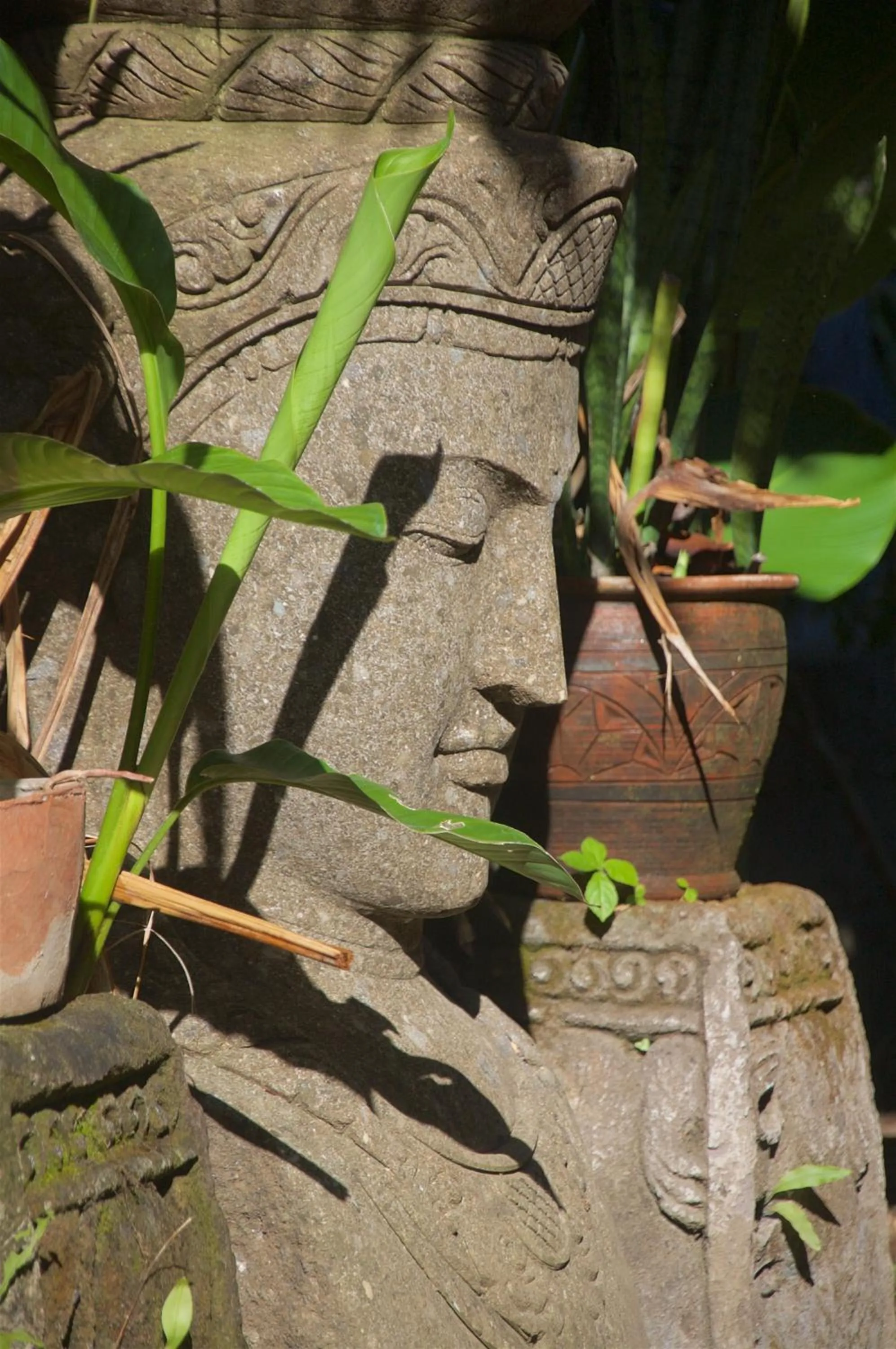 Garden in Taman Rahasia Tropical Sanctuary and Spa