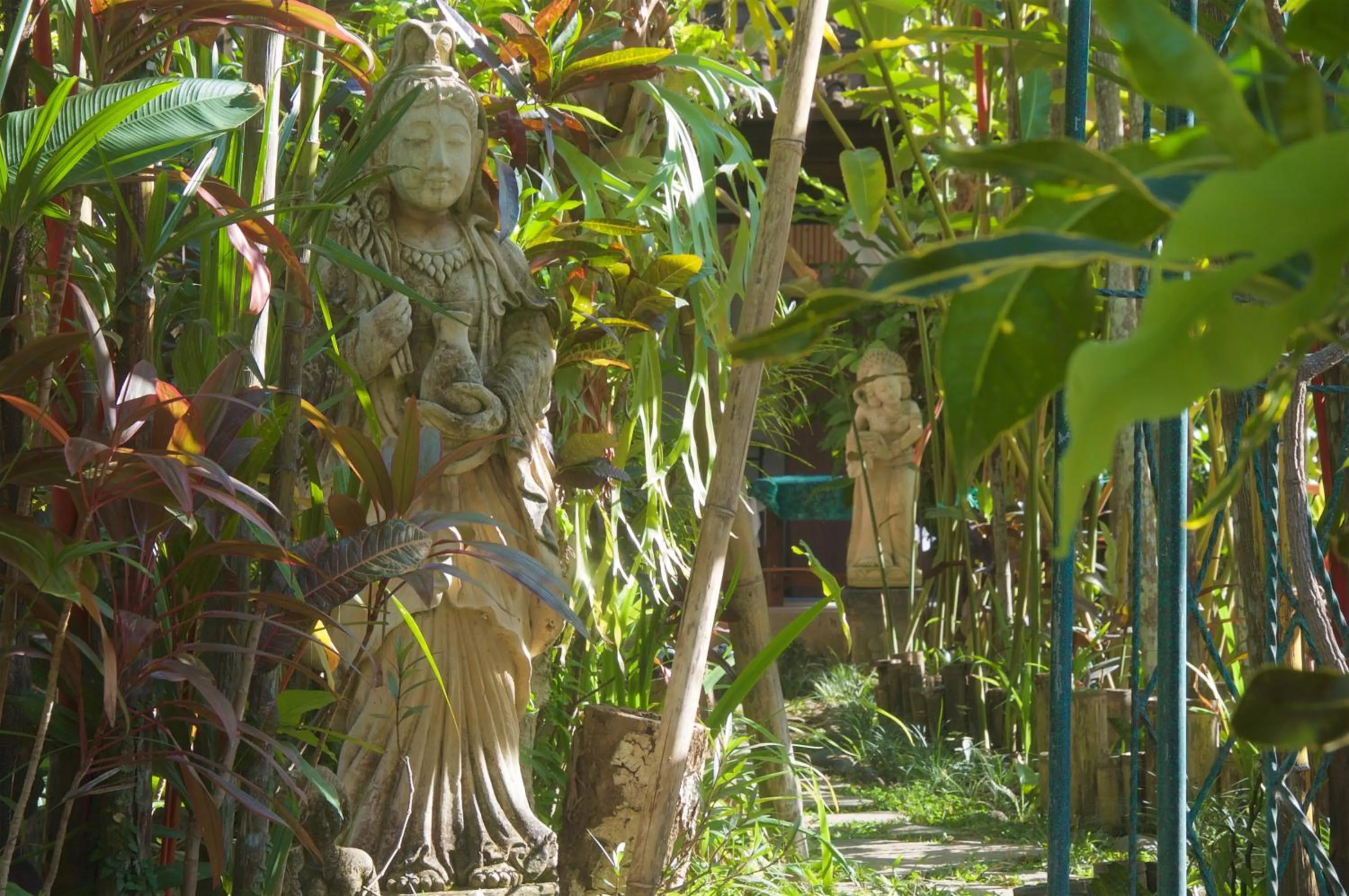 Garden in Taman Rahasia Tropical Sanctuary and Spa