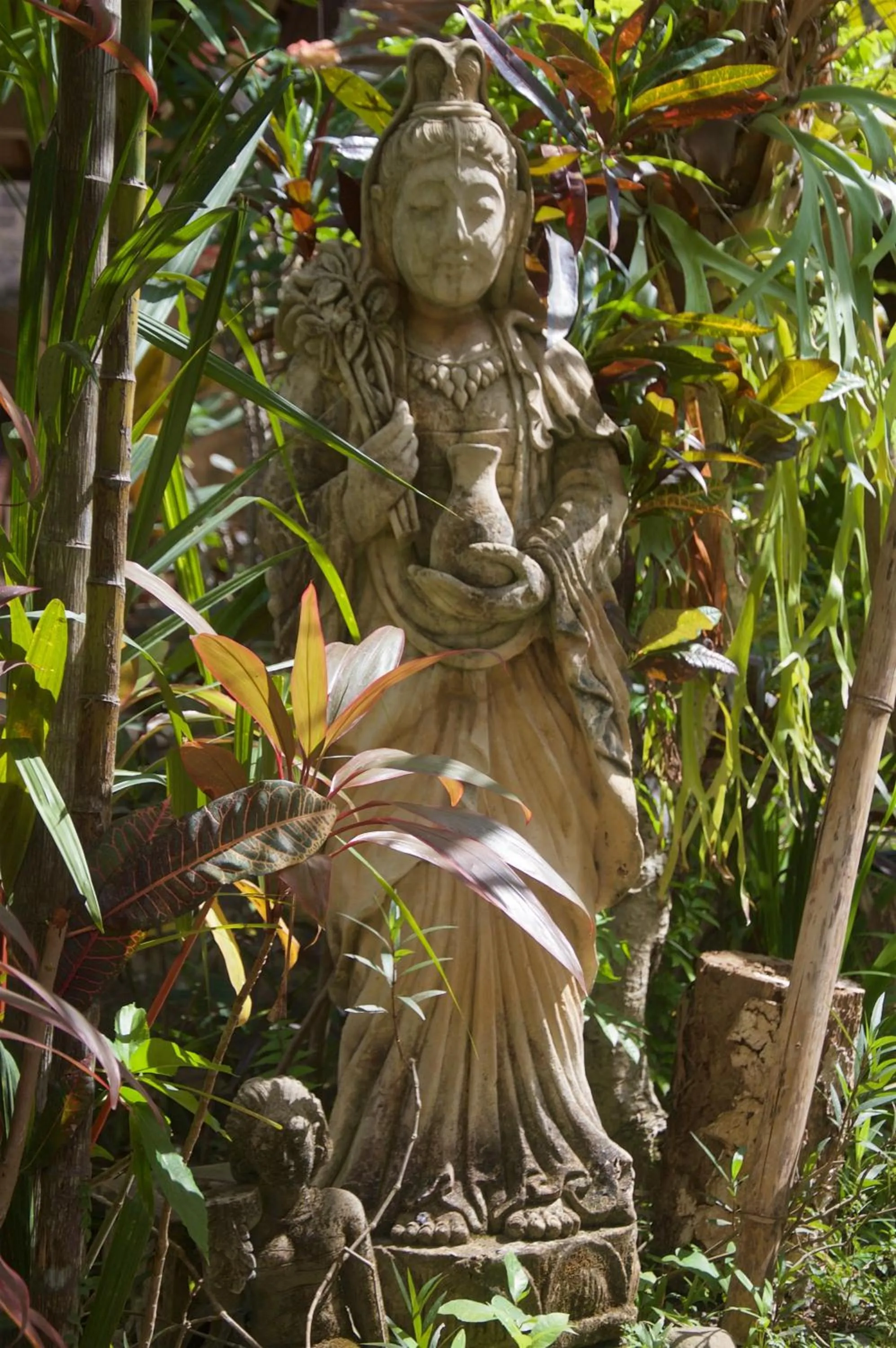 Garden in Taman Rahasia Tropical Sanctuary and Spa